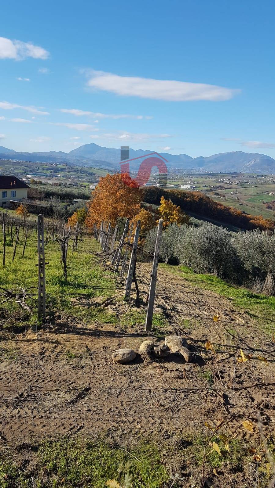 AGRICOLO in vendita a Benevento