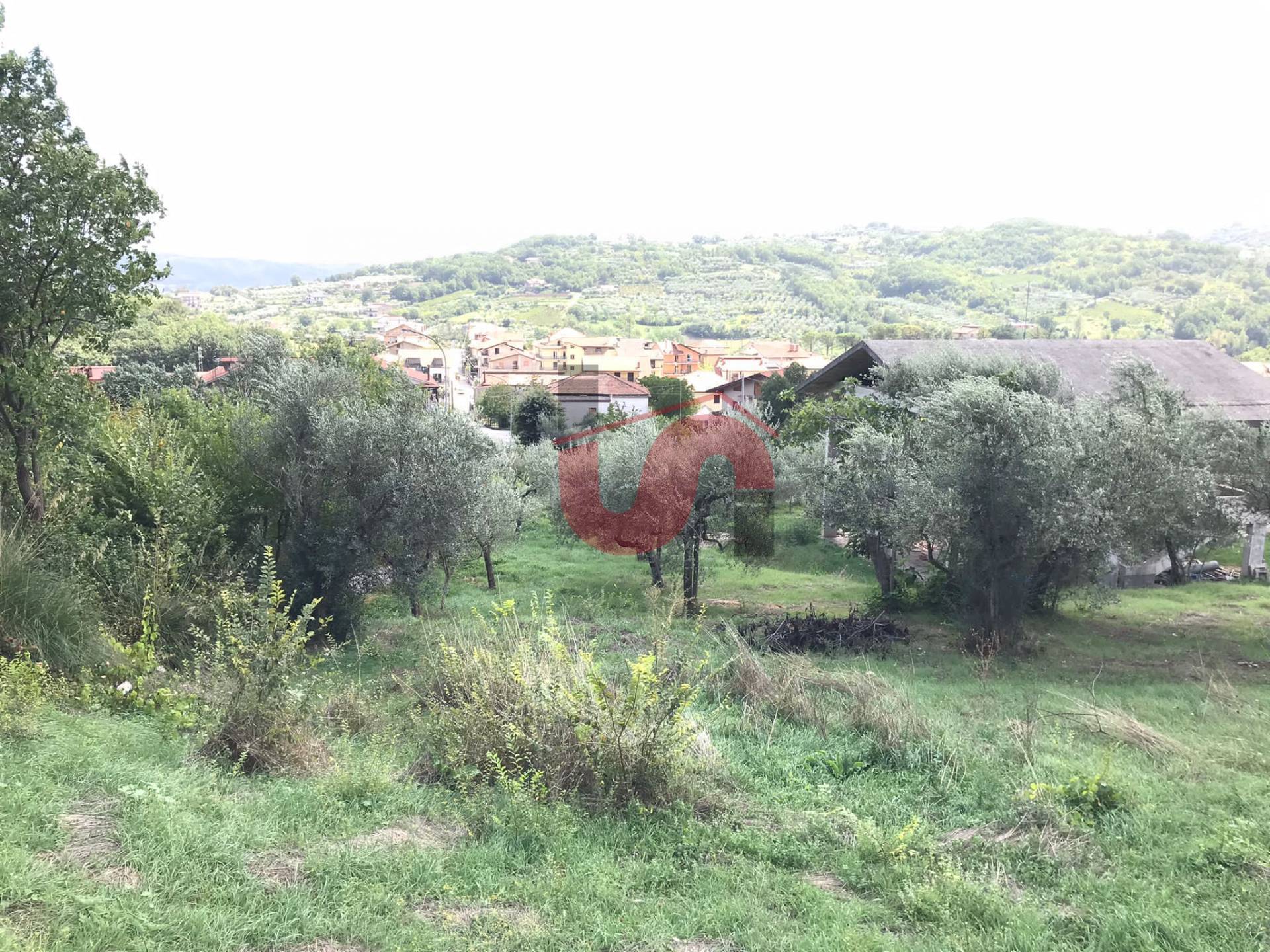 AGRICOLO in vendita a Cautano