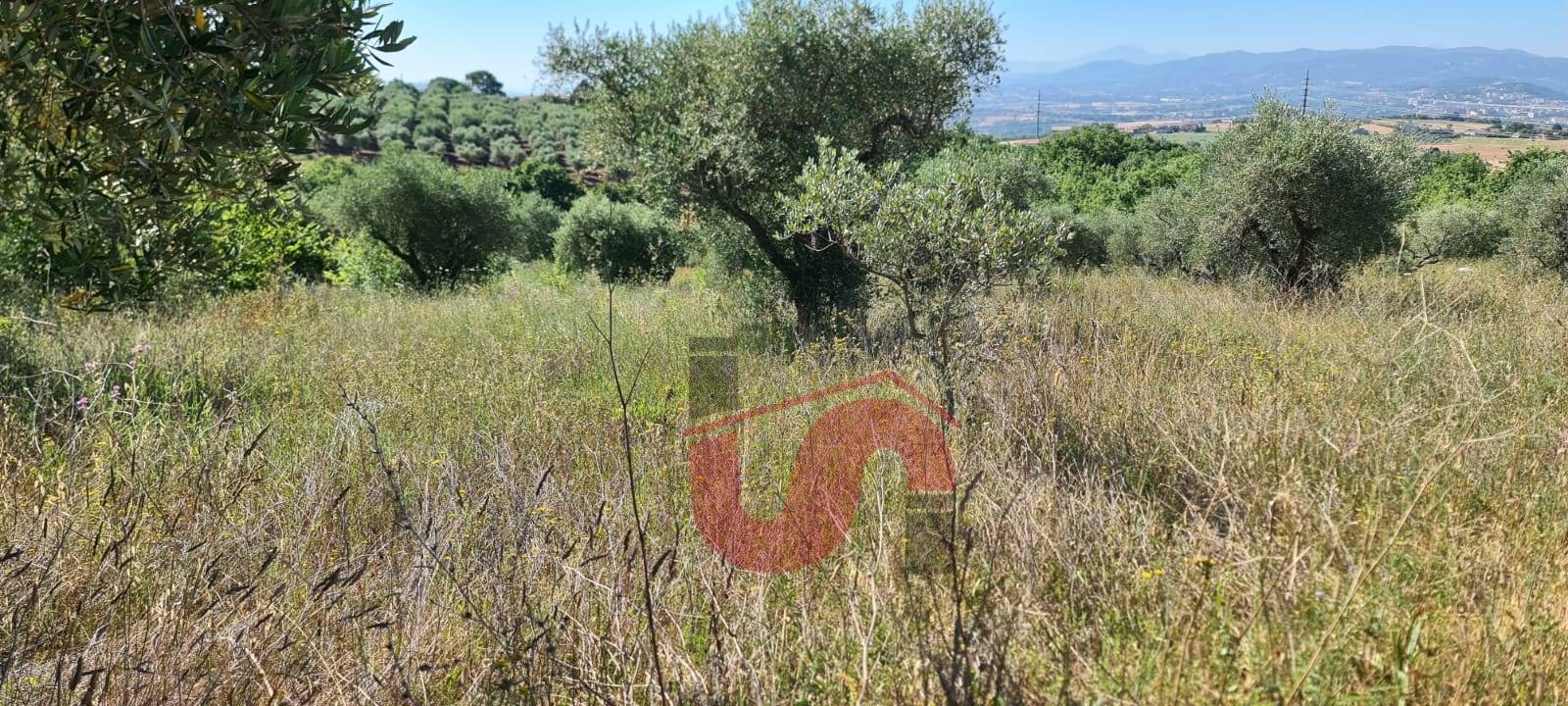 AGRICOLO in vendita a Benevento, CONTRADE