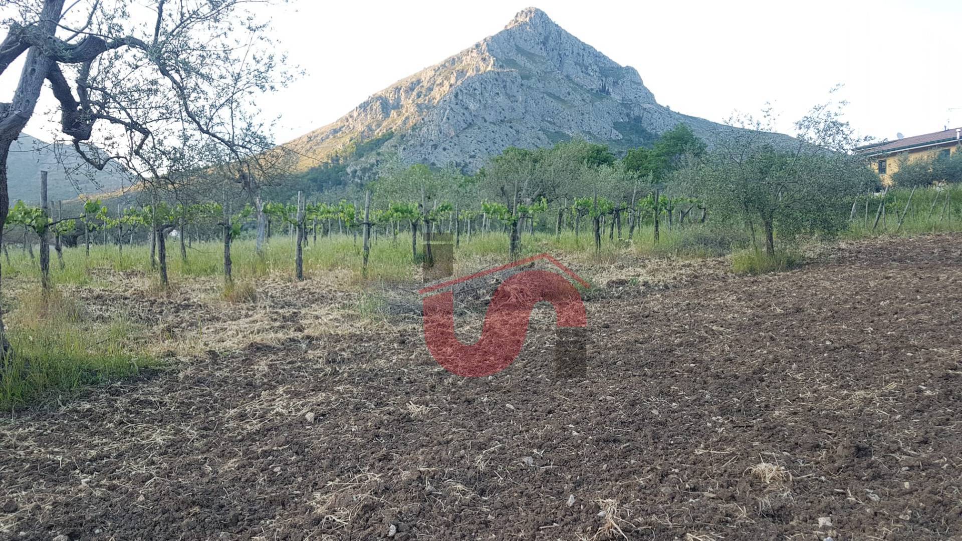 Terreno Agricolo in vendita a Foglianise