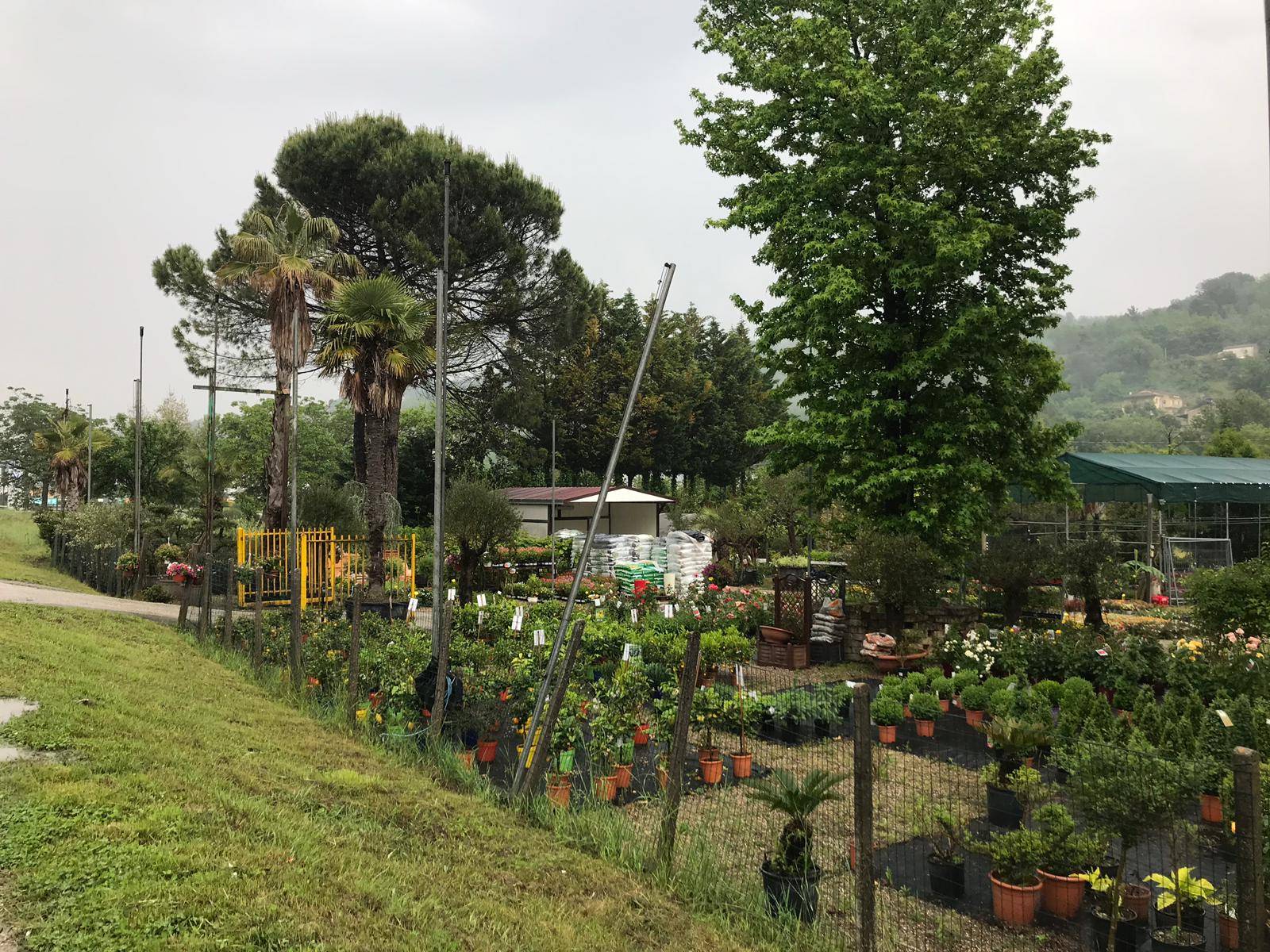 TERRENO INDUSTRIALE/COMMERCIALE in vendita a Benevento, CONTRADE