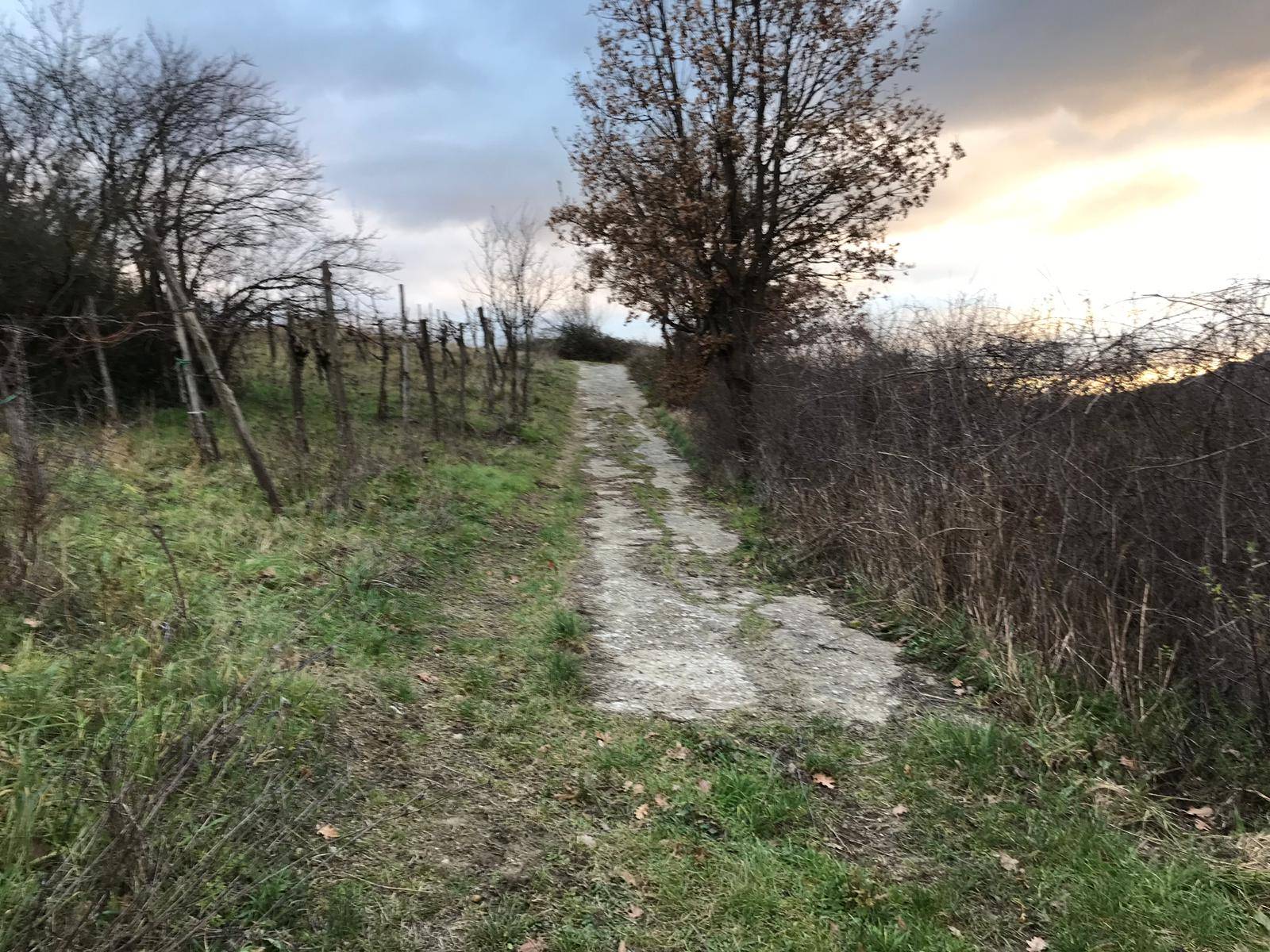 AGRICOLO in vendita a Foglianise