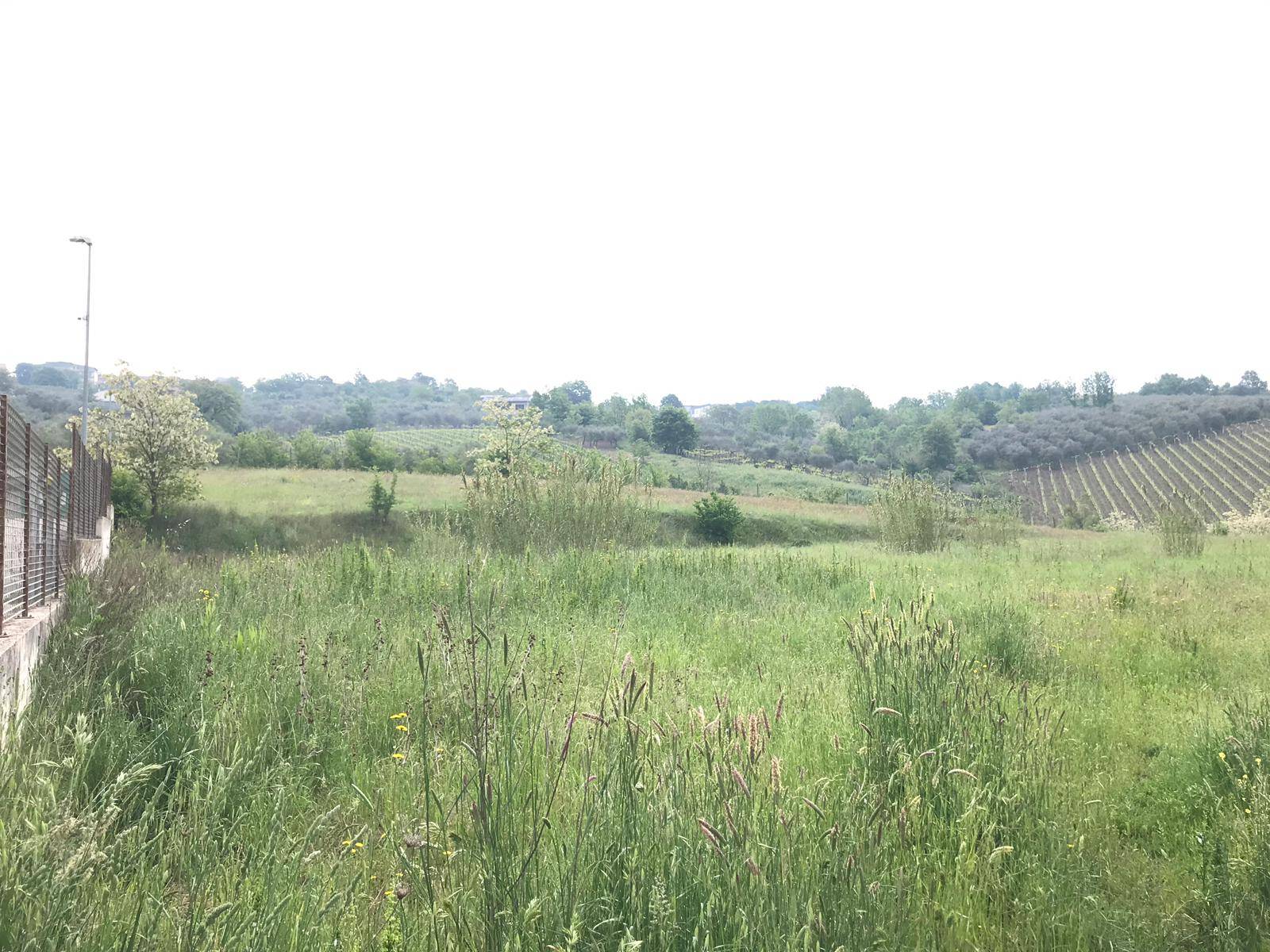 AGRICOLO in vendita a Benevento