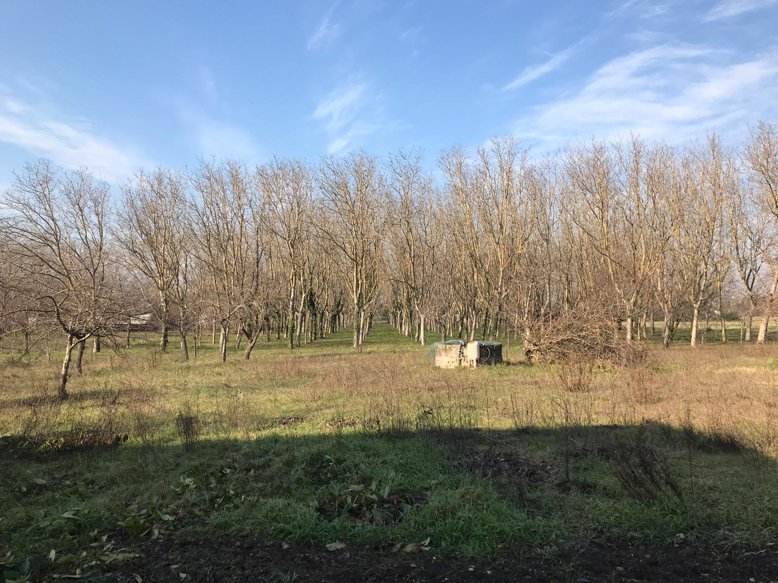 EDIFICABILE in vendita a Benevento, CONTRADE