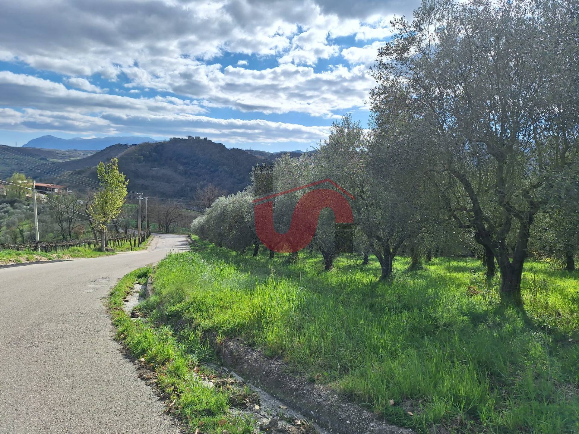 AGRICOLO in vendita a Foglianise, Giovanni Viglione