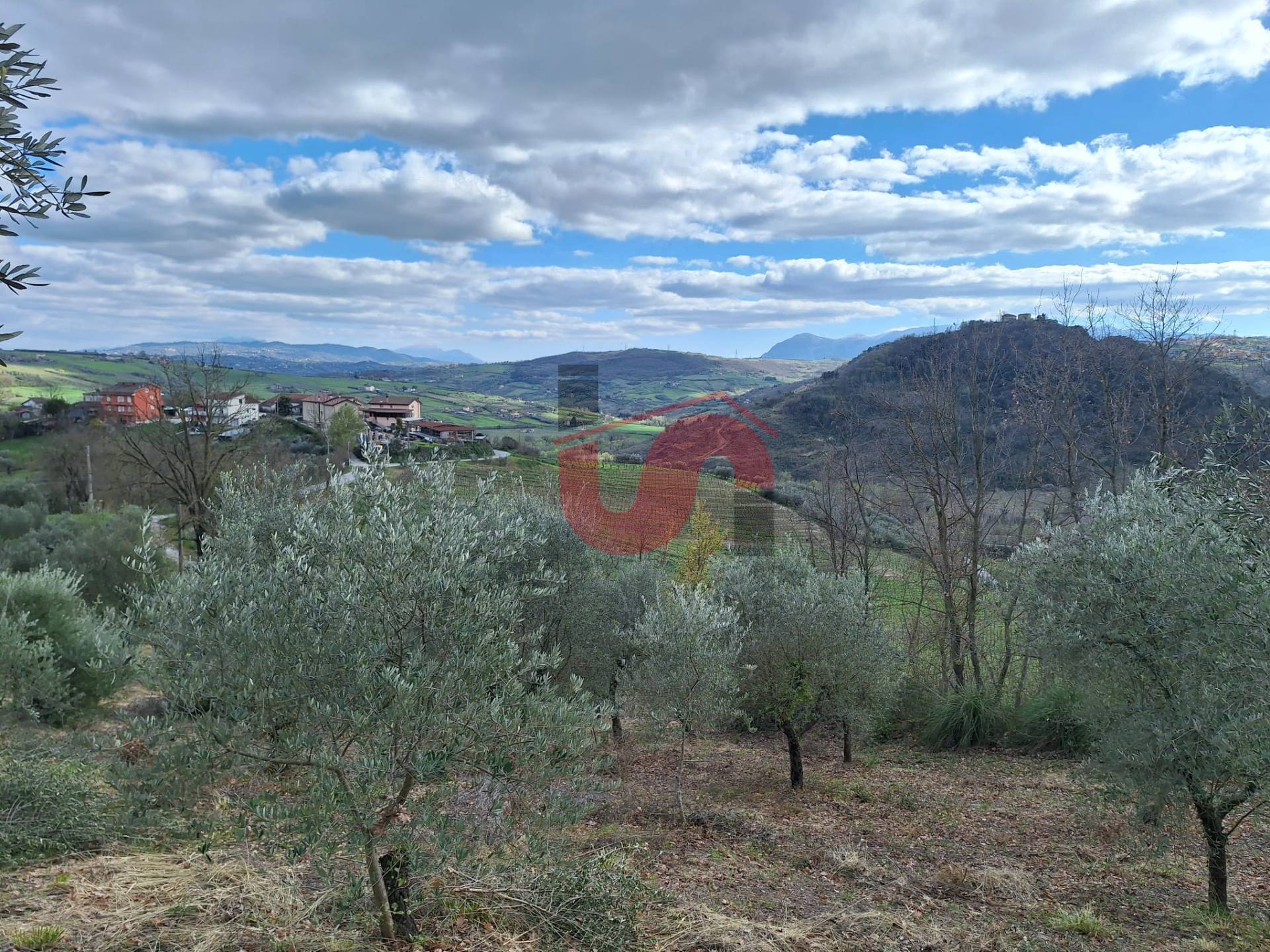 AGRICOLO in vendita a Foglianise, Giovanni Viglione