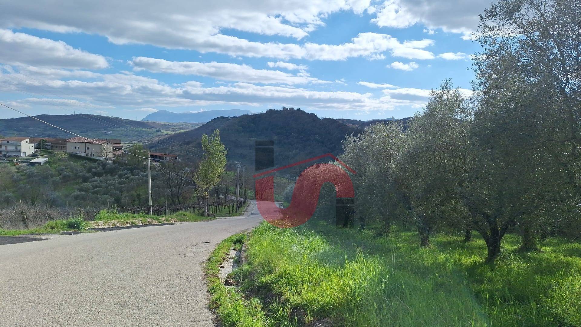 AGRICOLO in vendita a Foglianise, Giovanni Viglione