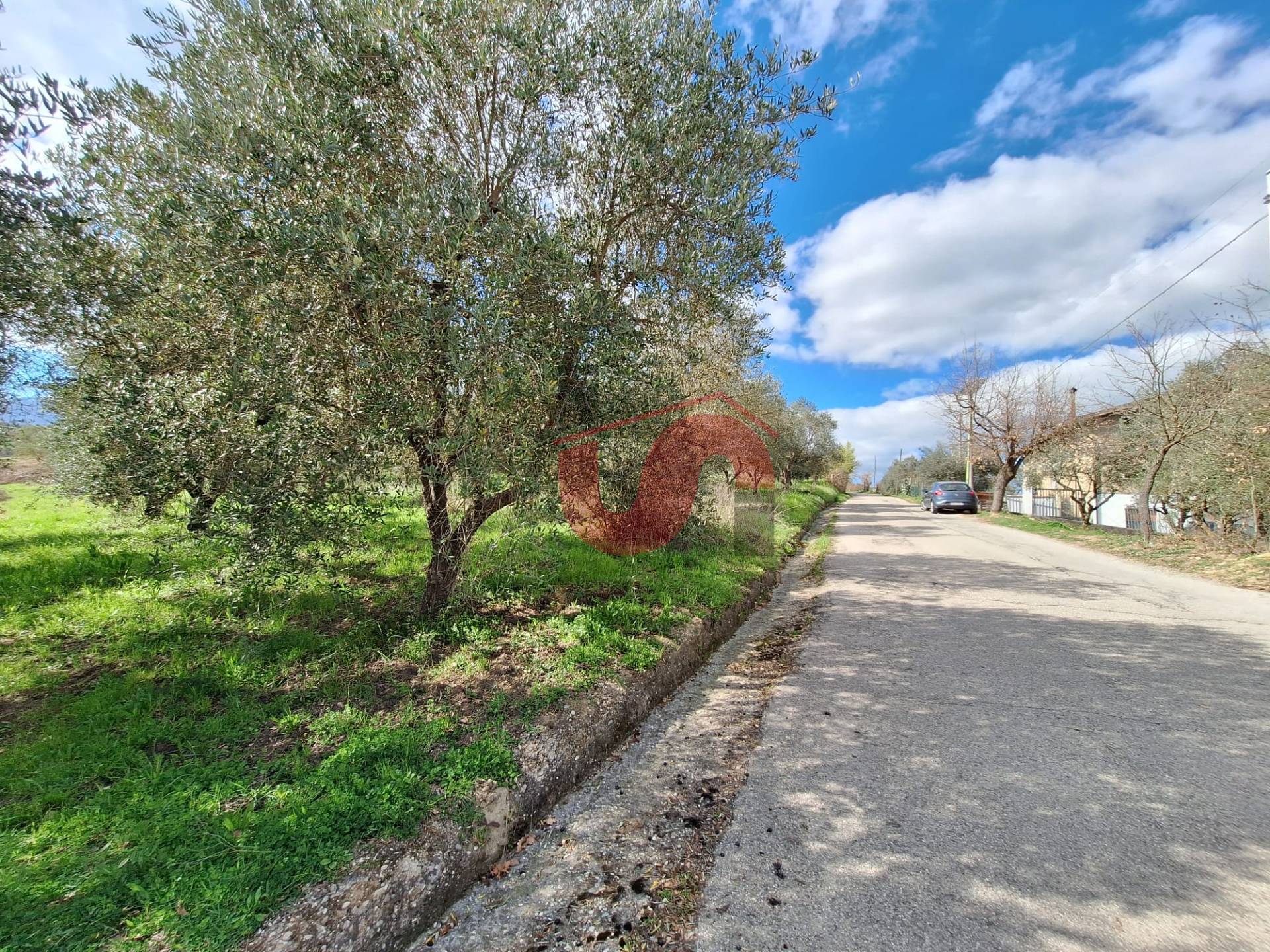AGRICOLO in vendita a Foglianise, Giovanni Viglione
