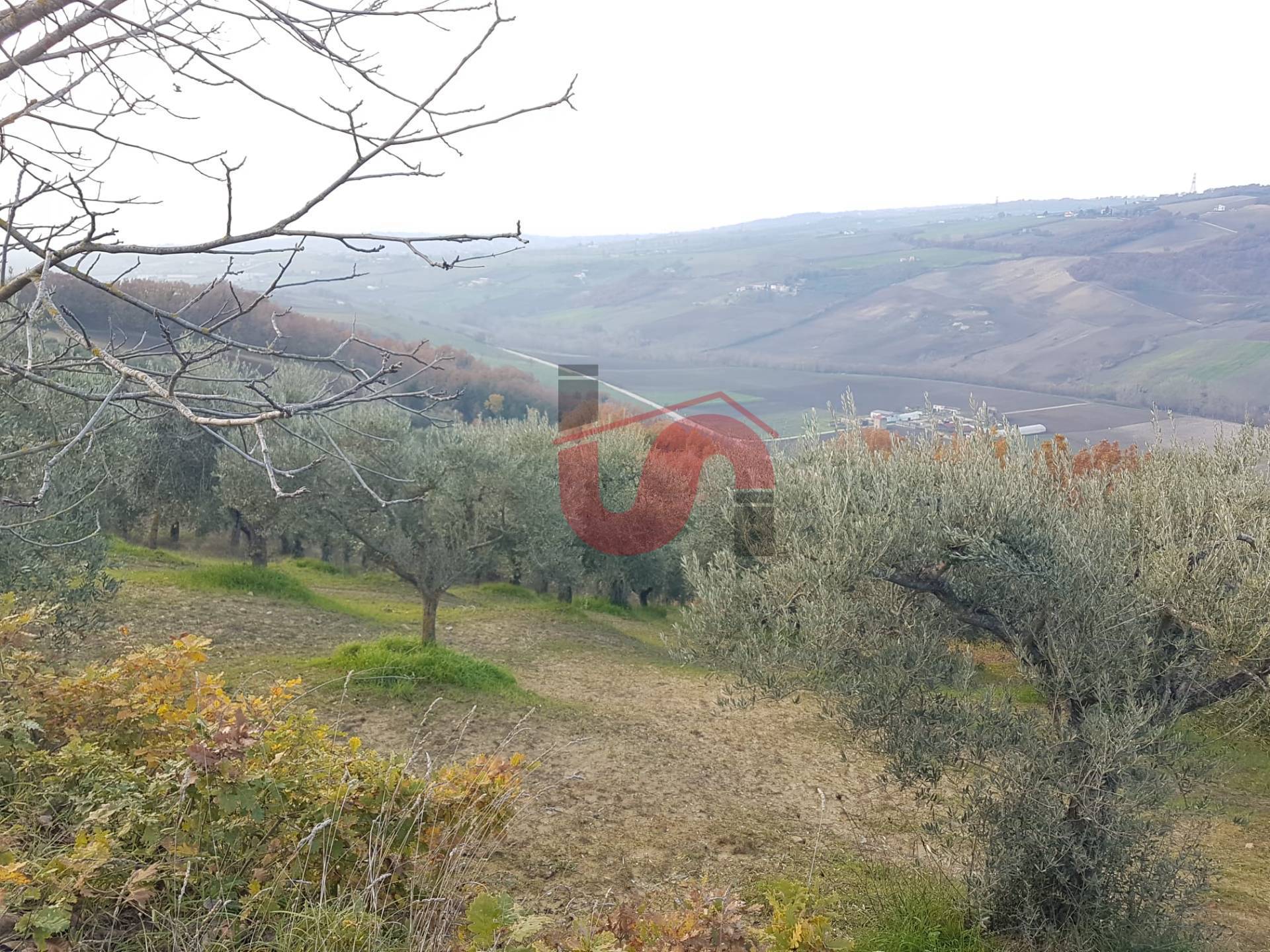 AGRICOLO in vendita a Benevento