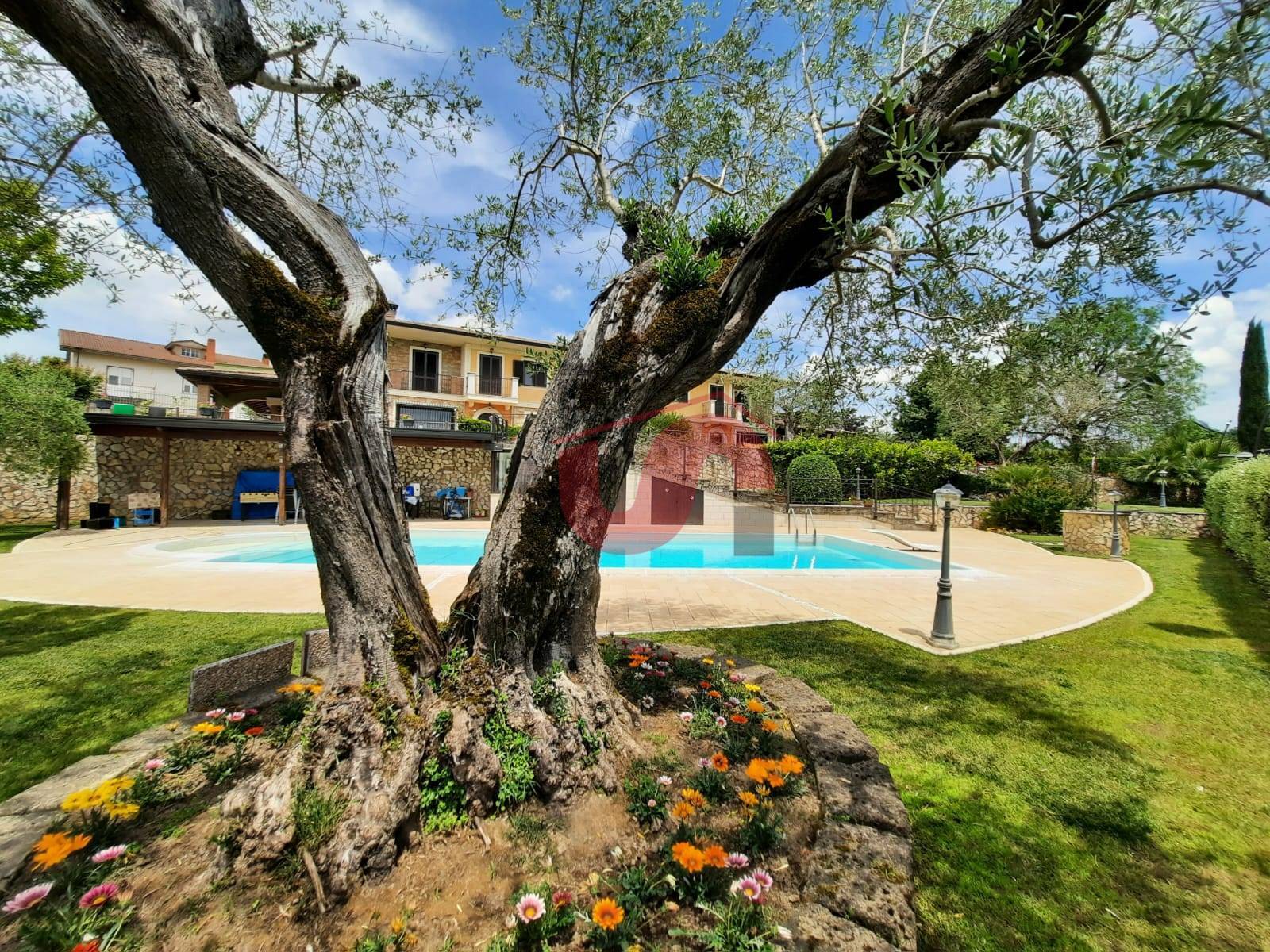 VILLA TRIFAMILIARE in vendita a Calvi