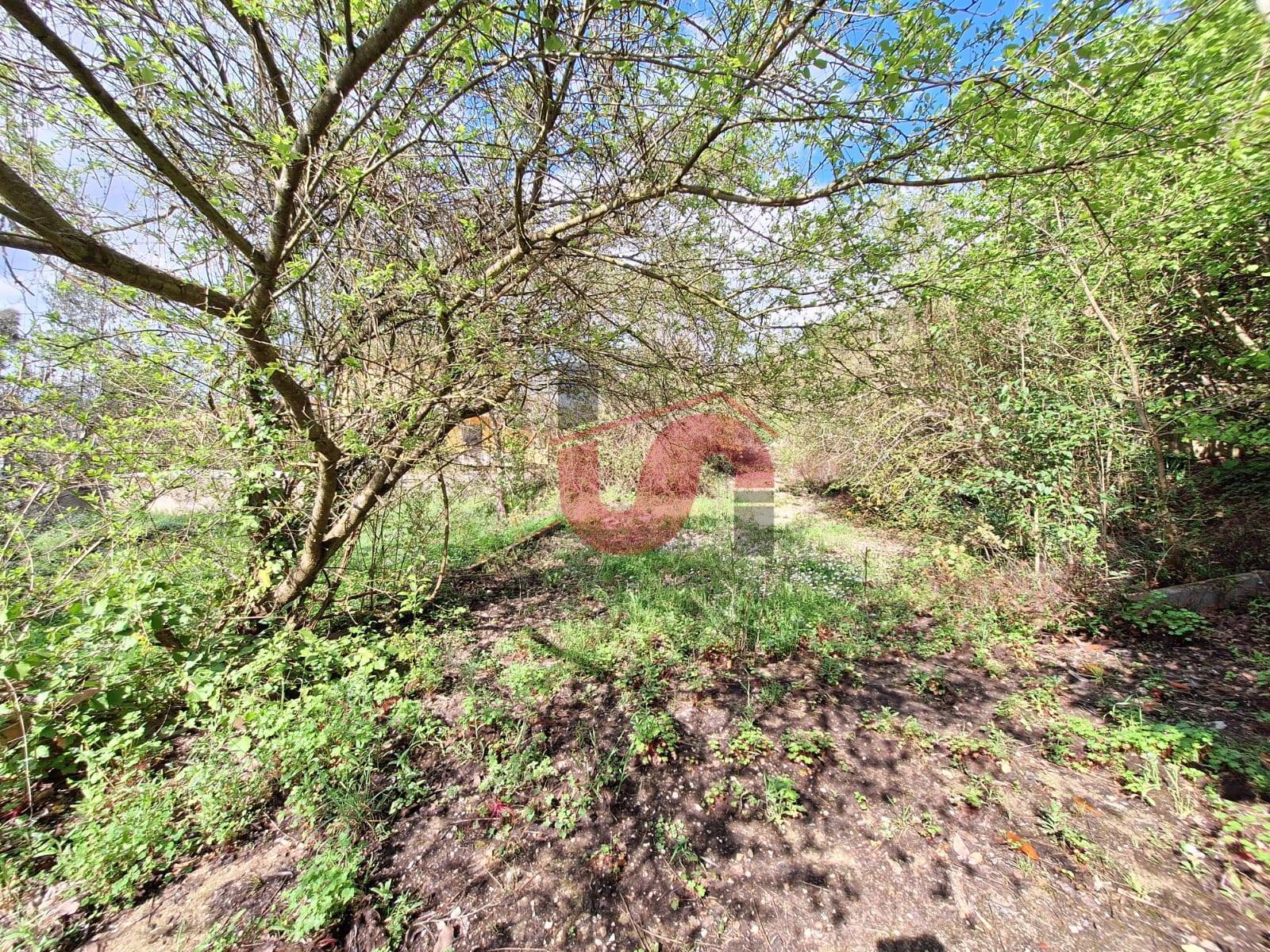 EDIFICABILE in vendita a Sant'Angelo a Cupolo