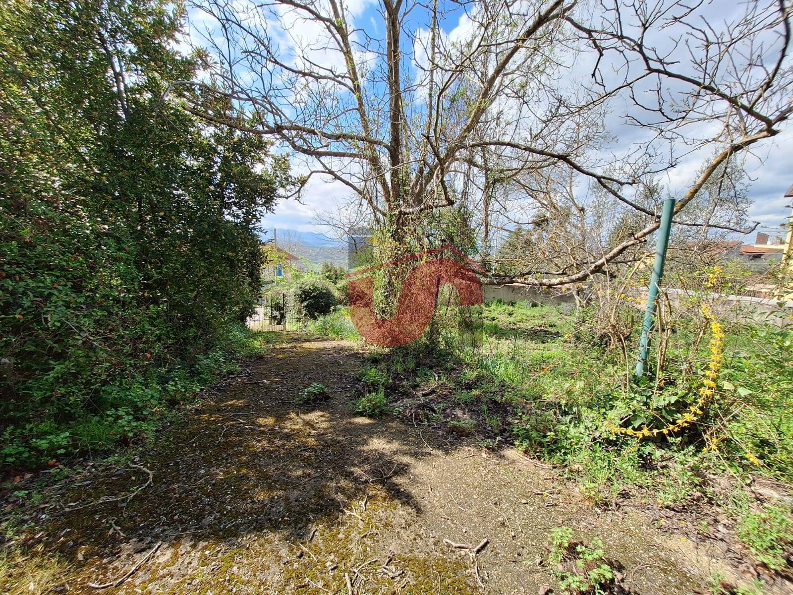 EDIFICABILE in vendita a Sant'Angelo a Cupolo
