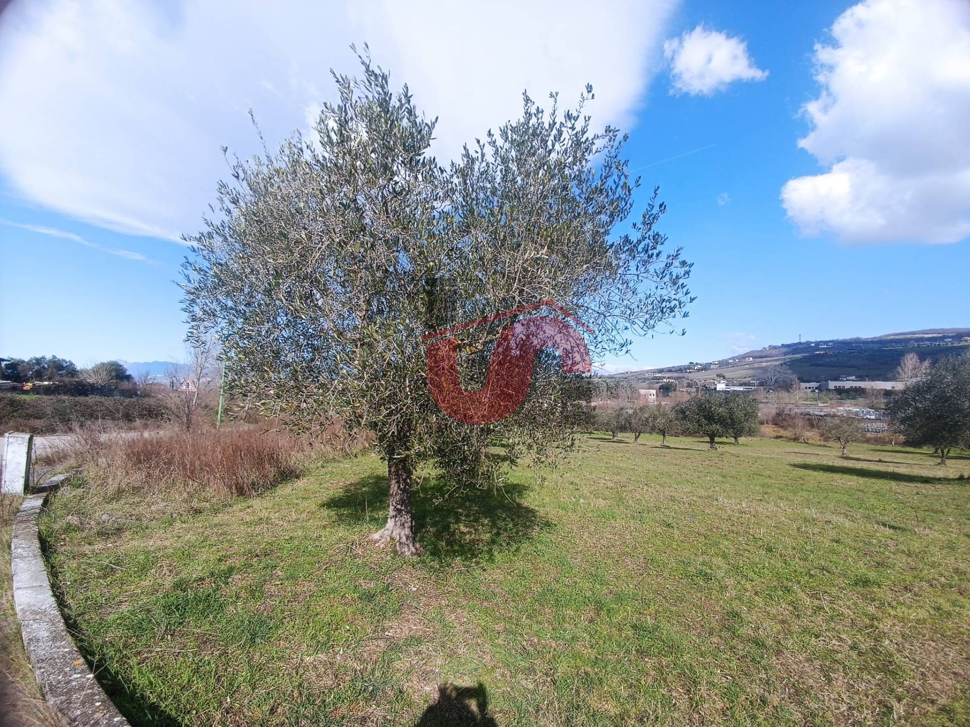 TERRENO INDUSTRIALE/COMMERCIALE in vendita a Benevento, CONTRADE