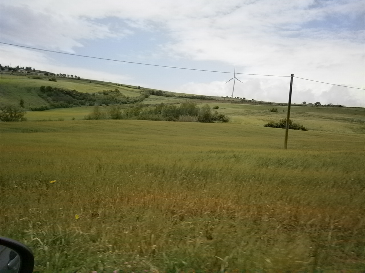 AGRICOLO in vendita a Campolattaro