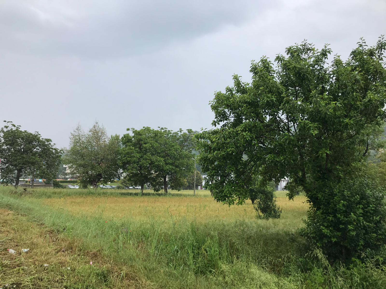 TERRENO INDUSTRIALE/COMMERCIALE in vendita a Benevento, CONTRADE