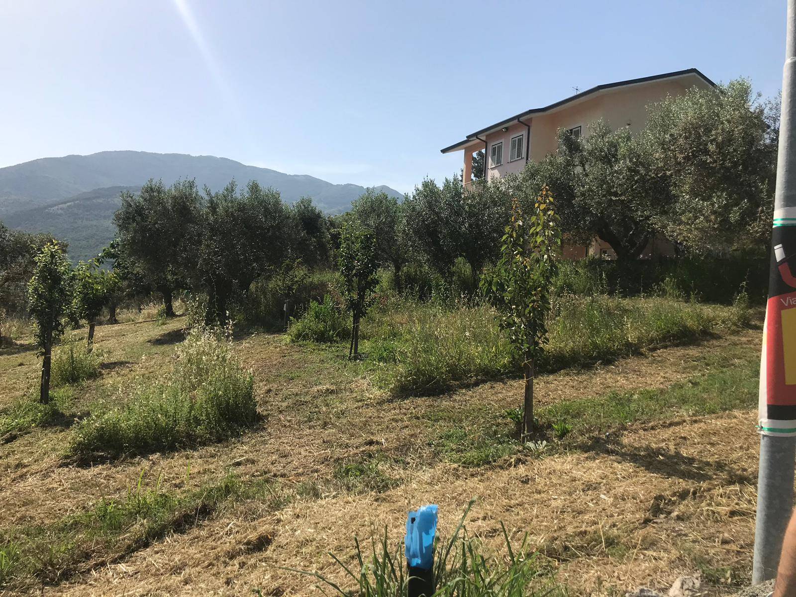 TERRENO INDUSTRIALE/COMMERCIALE in vendita a Foglianise, Sala