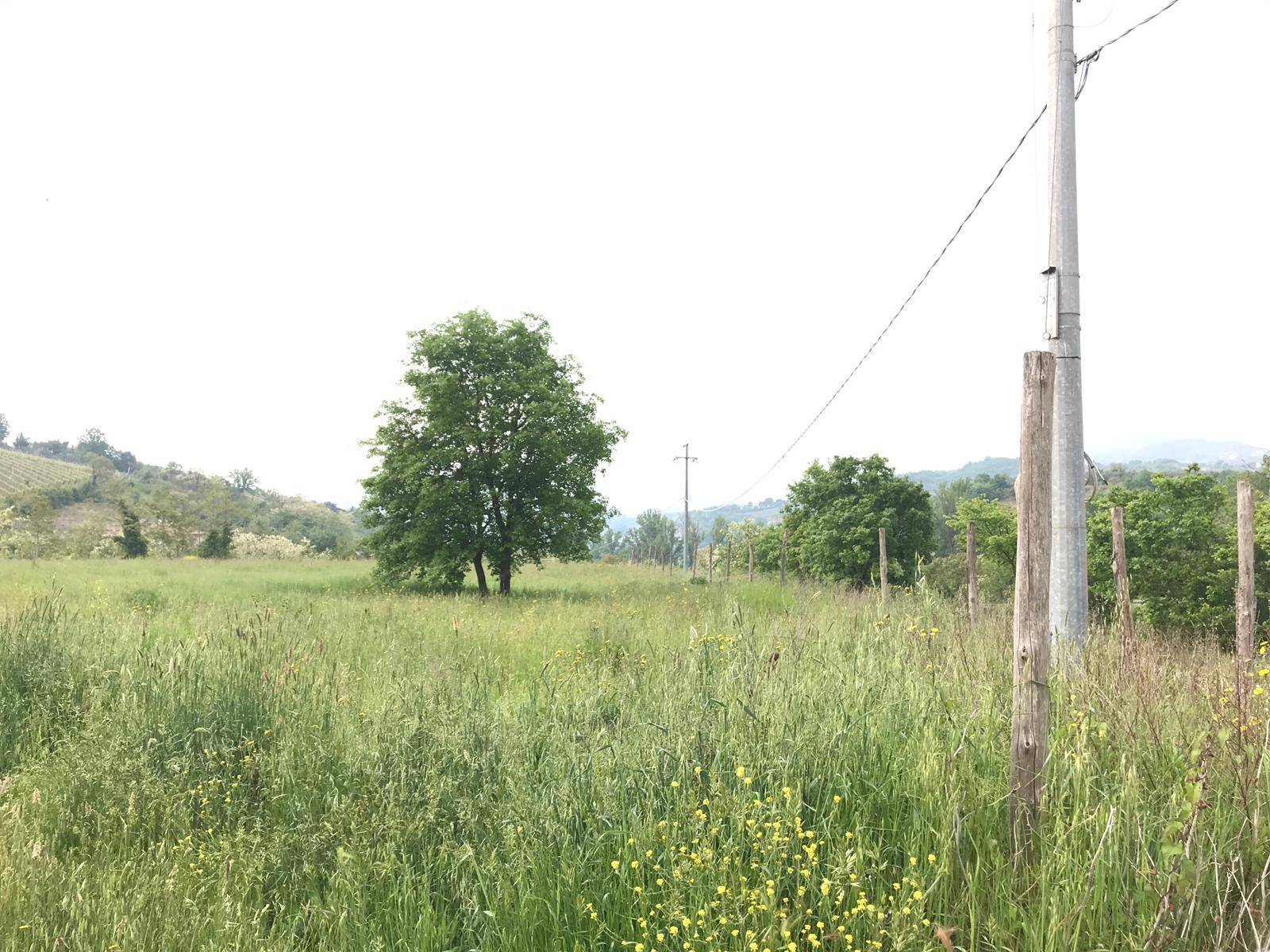 AGRICOLO in vendita a Benevento