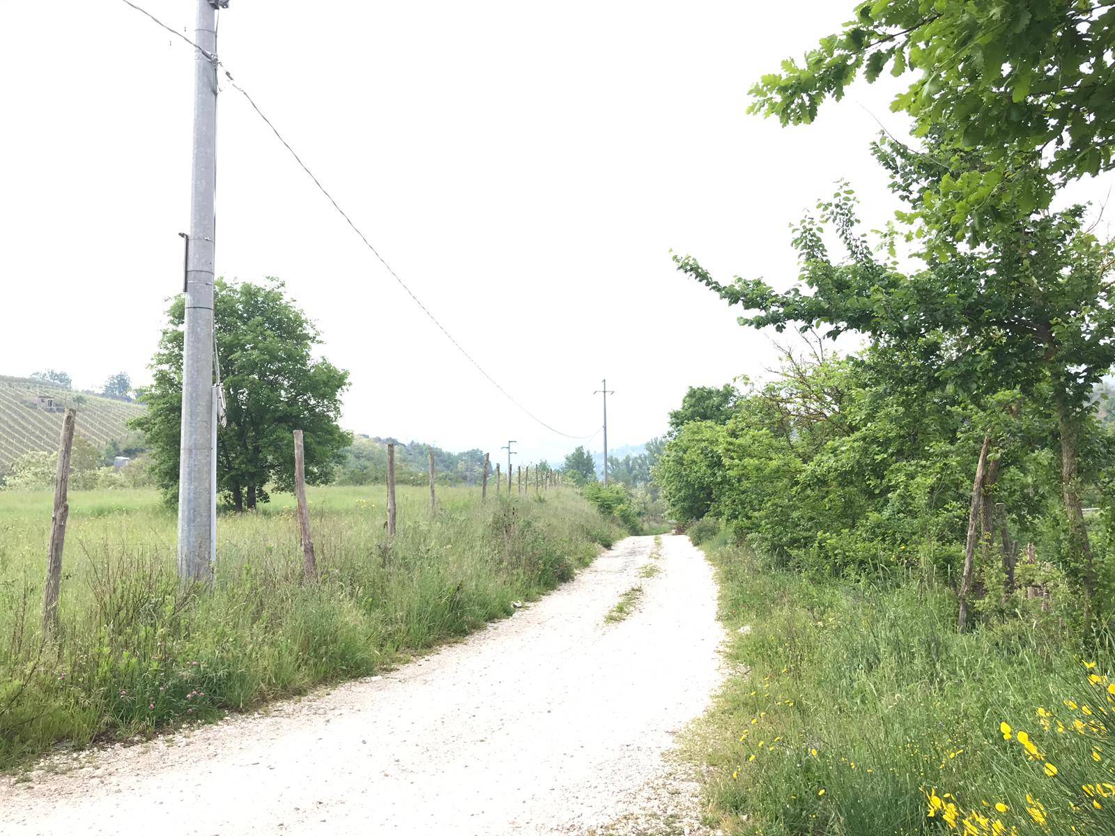 AGRICOLO in vendita a Benevento