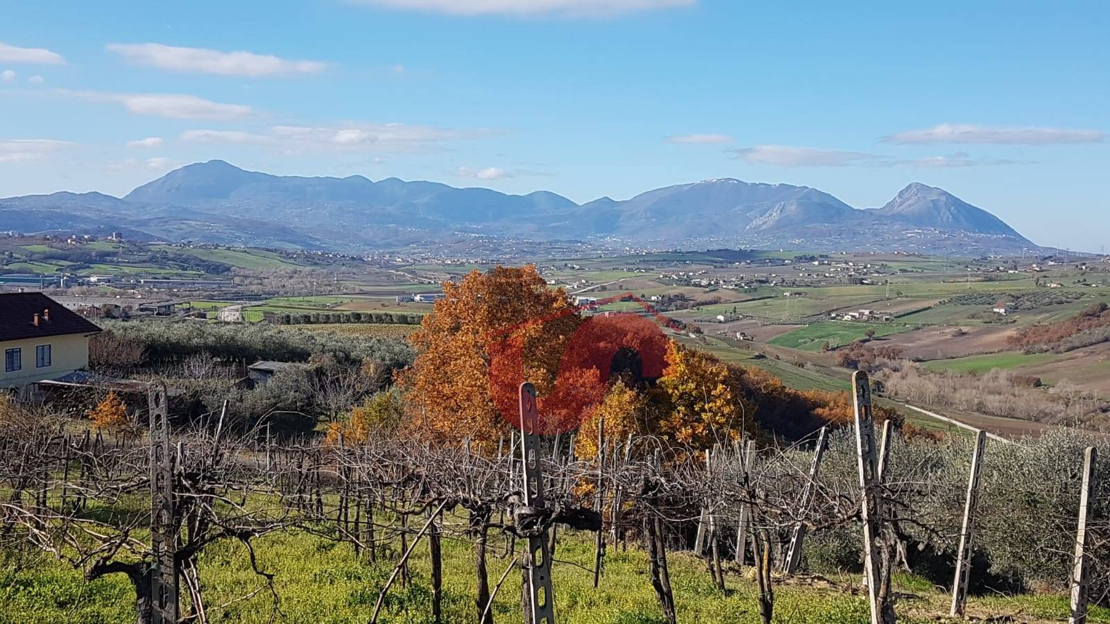 AGRICOLO in vendita a Benevento
