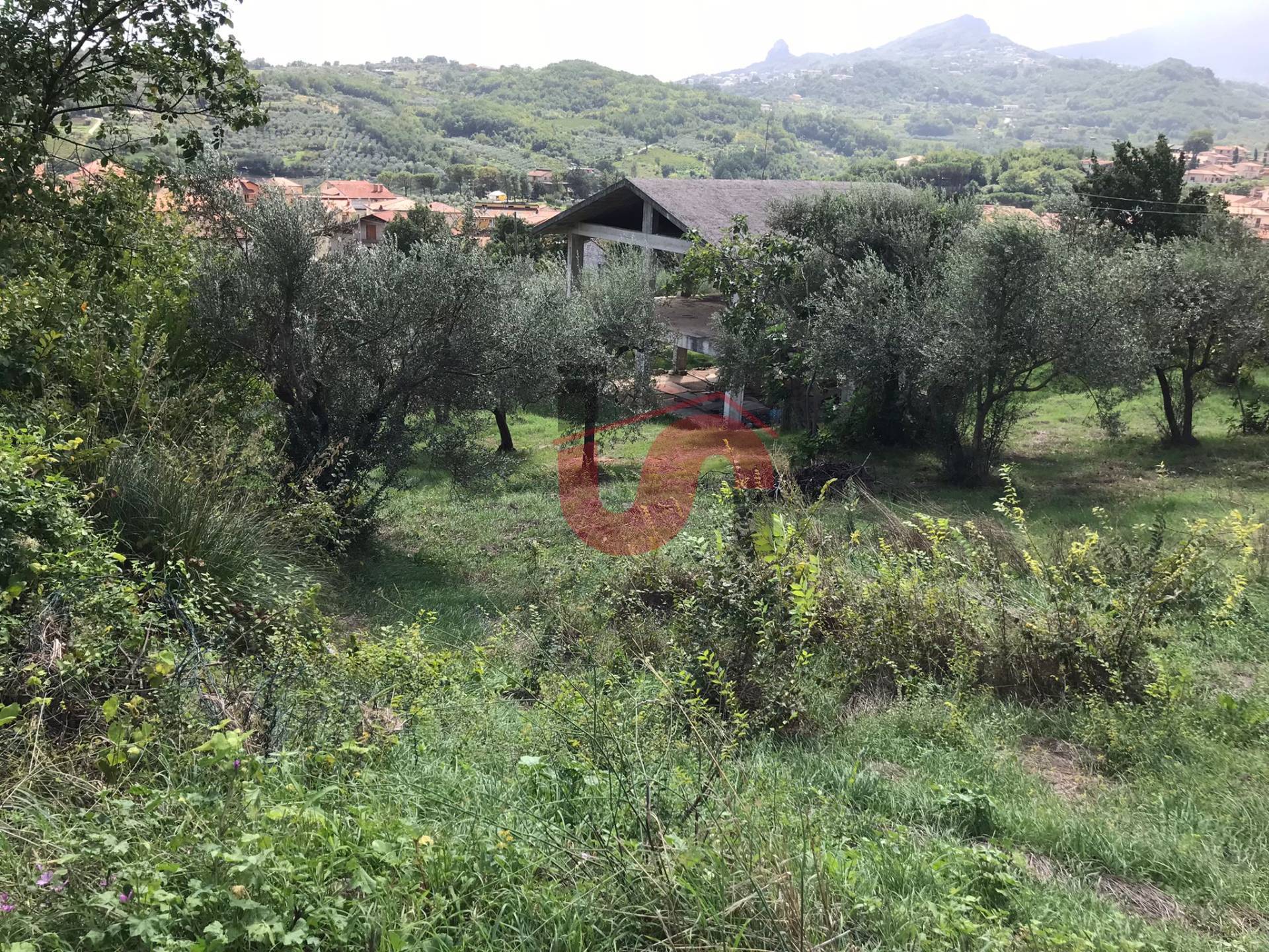 AGRICOLO in vendita a Cautano