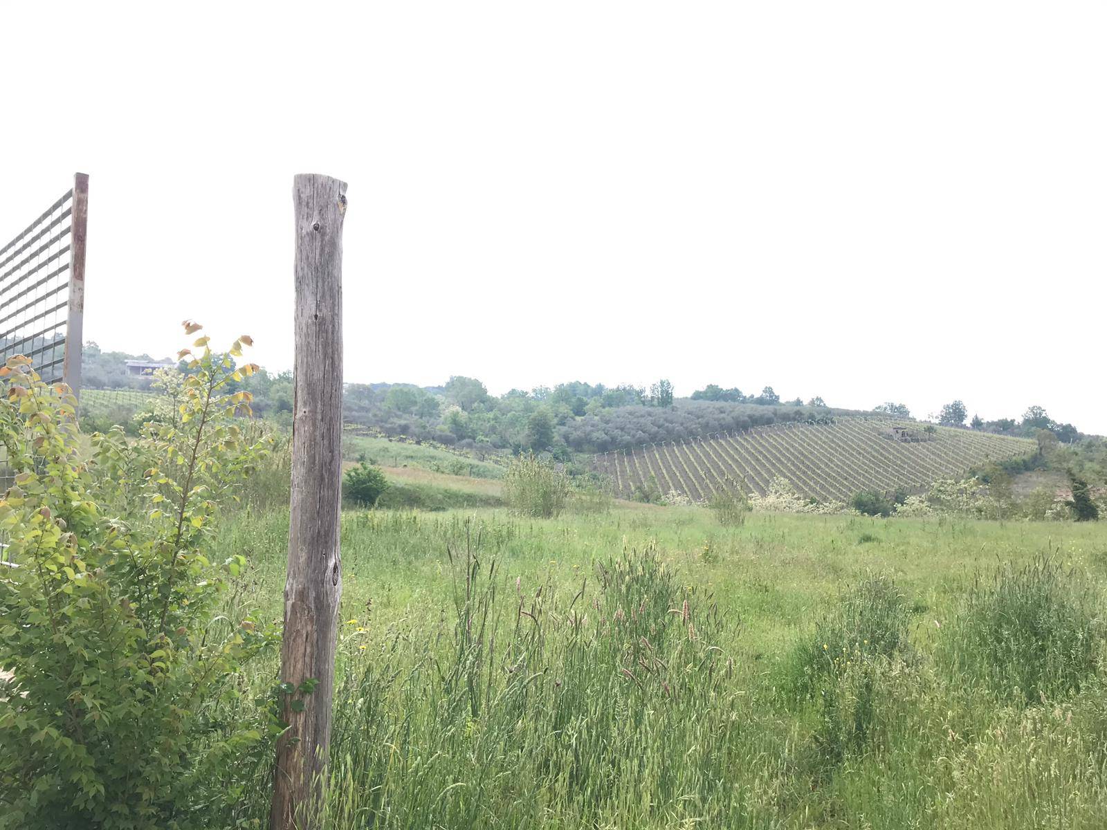 AGRICOLO in vendita a Benevento