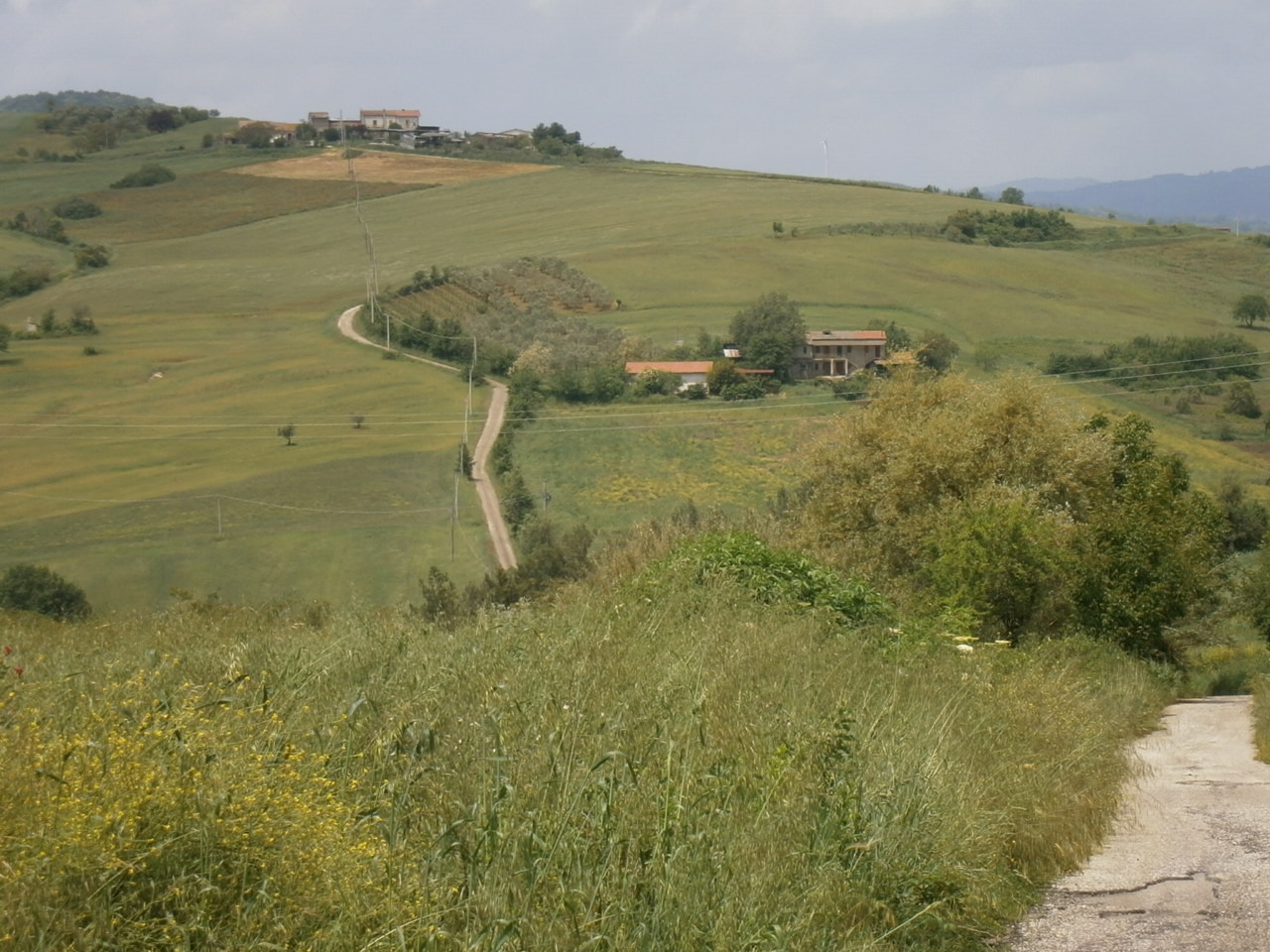 AGRICOLO in vendita a Campolattaro