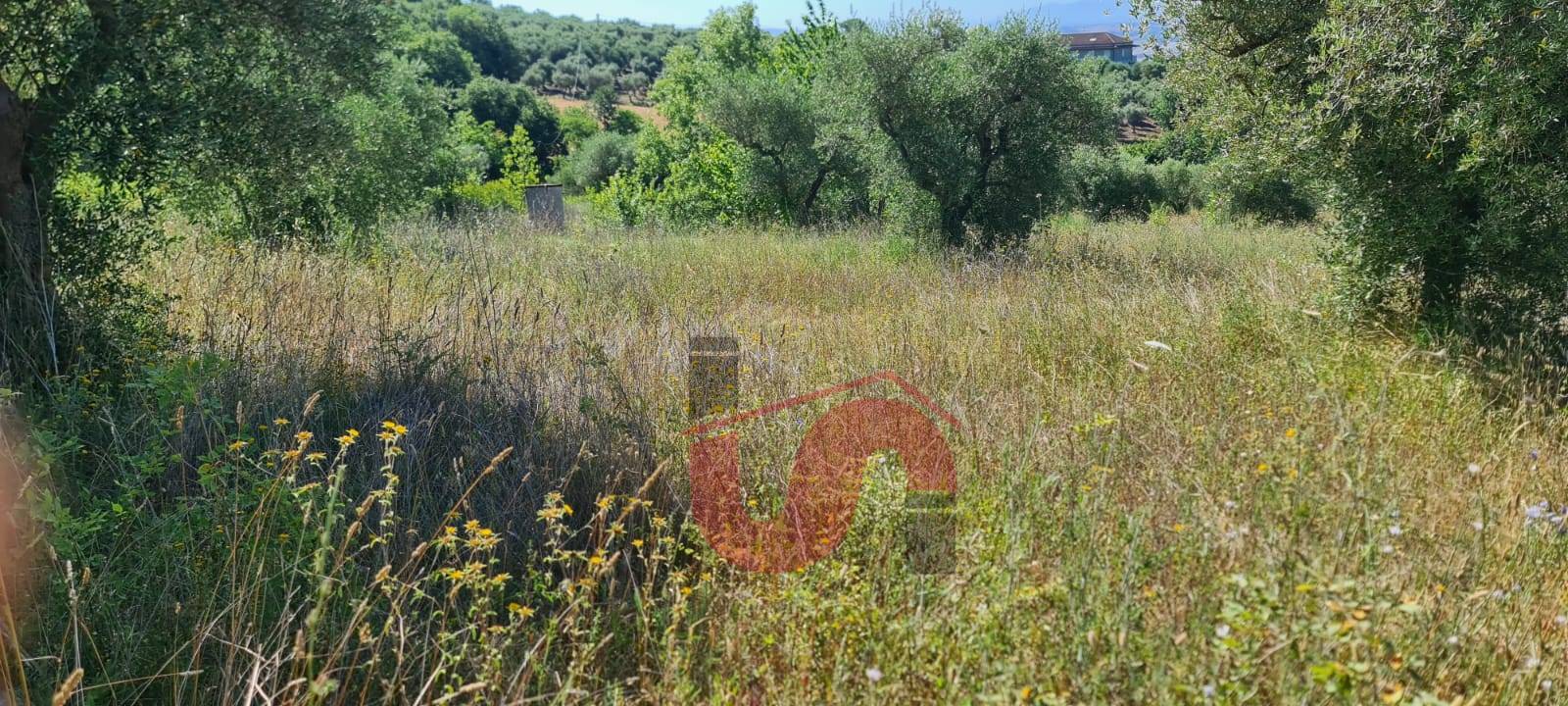 AGRICOLO in vendita a Benevento, CONTRADE