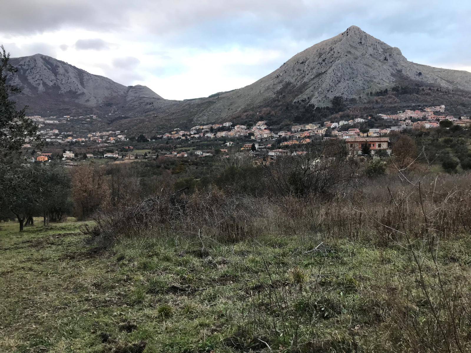 AGRICOLO in vendita a Foglianise