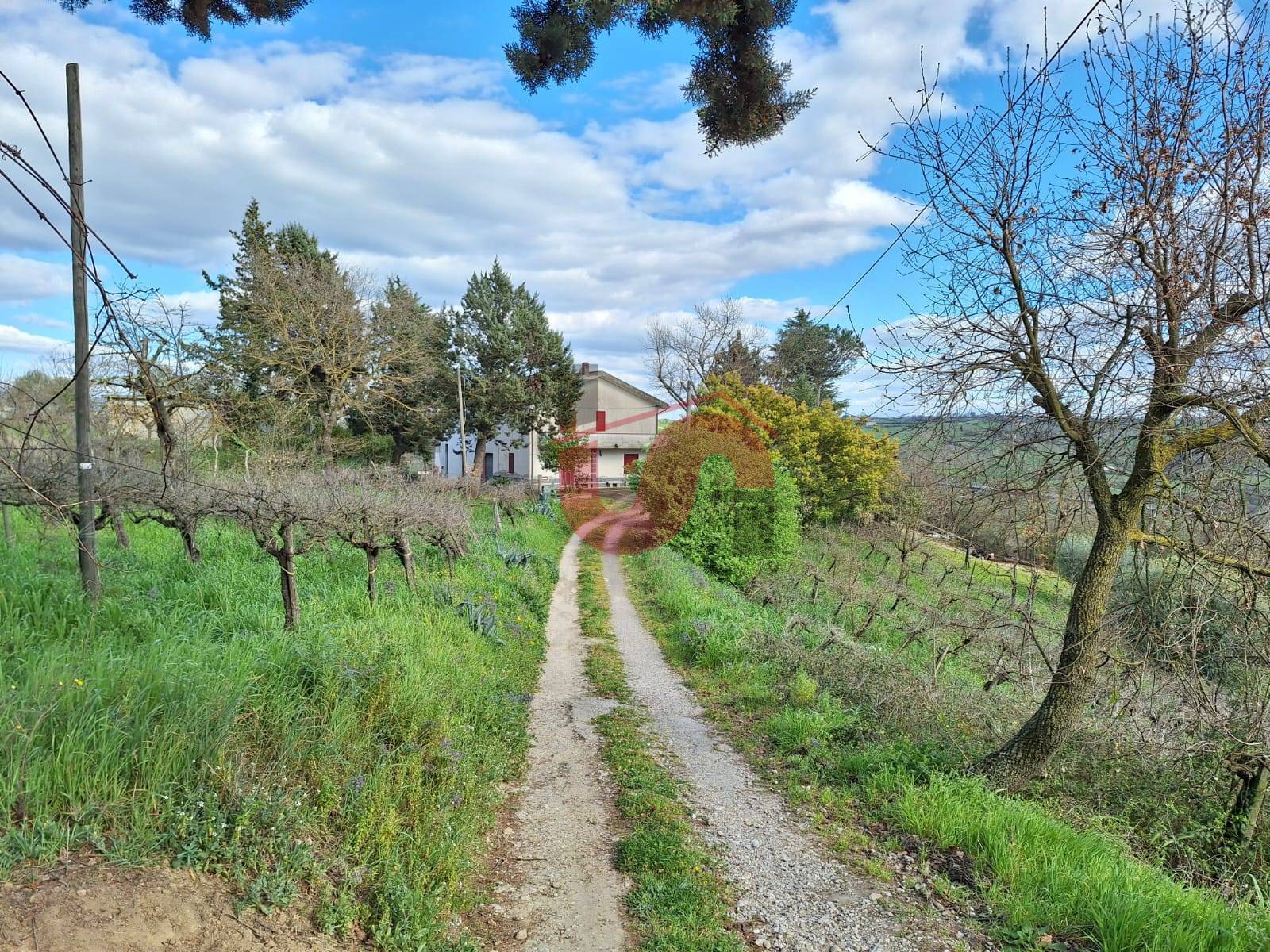 SEMINDIPENDENTE in vendita a Foglianise, Palmenta