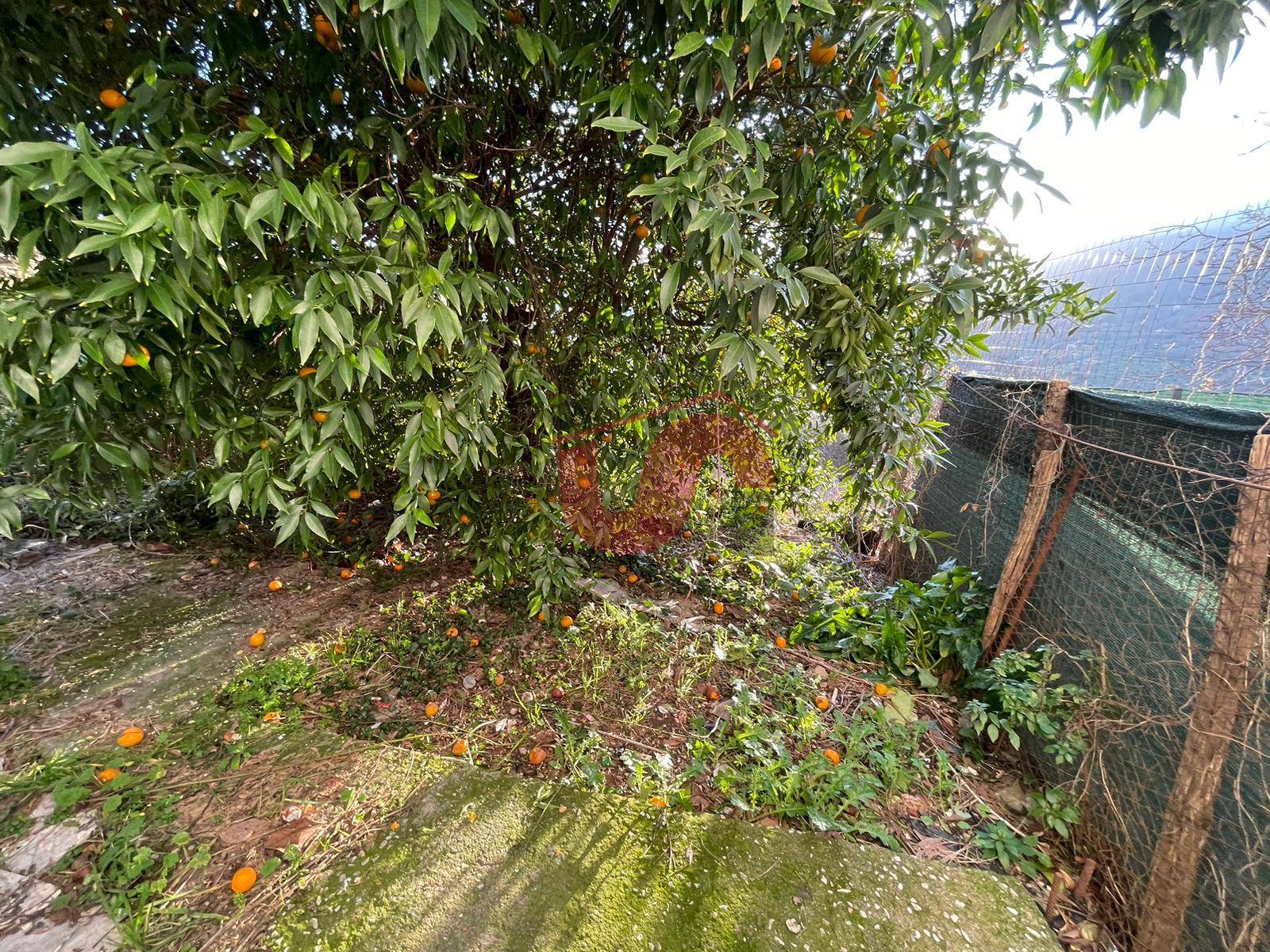 SEMINDIPENDENTE in vendita a Foglianise