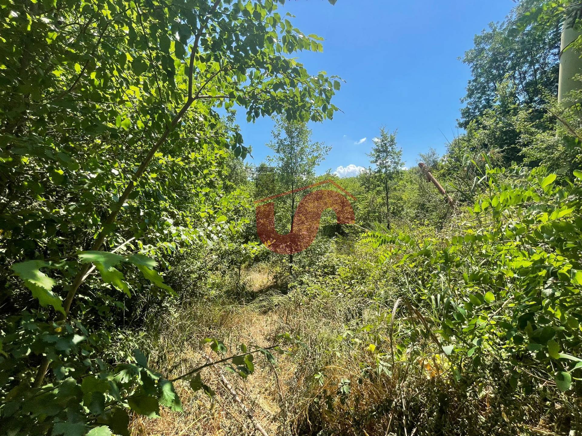 immagine annuncio 3 di 6