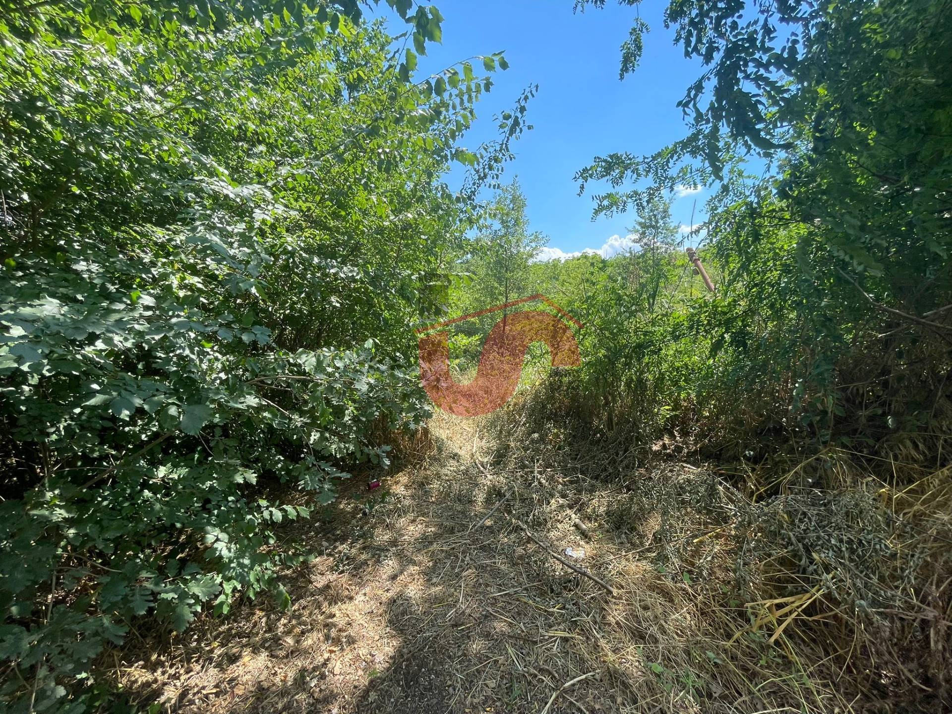 immagine annuncio 4 di 6