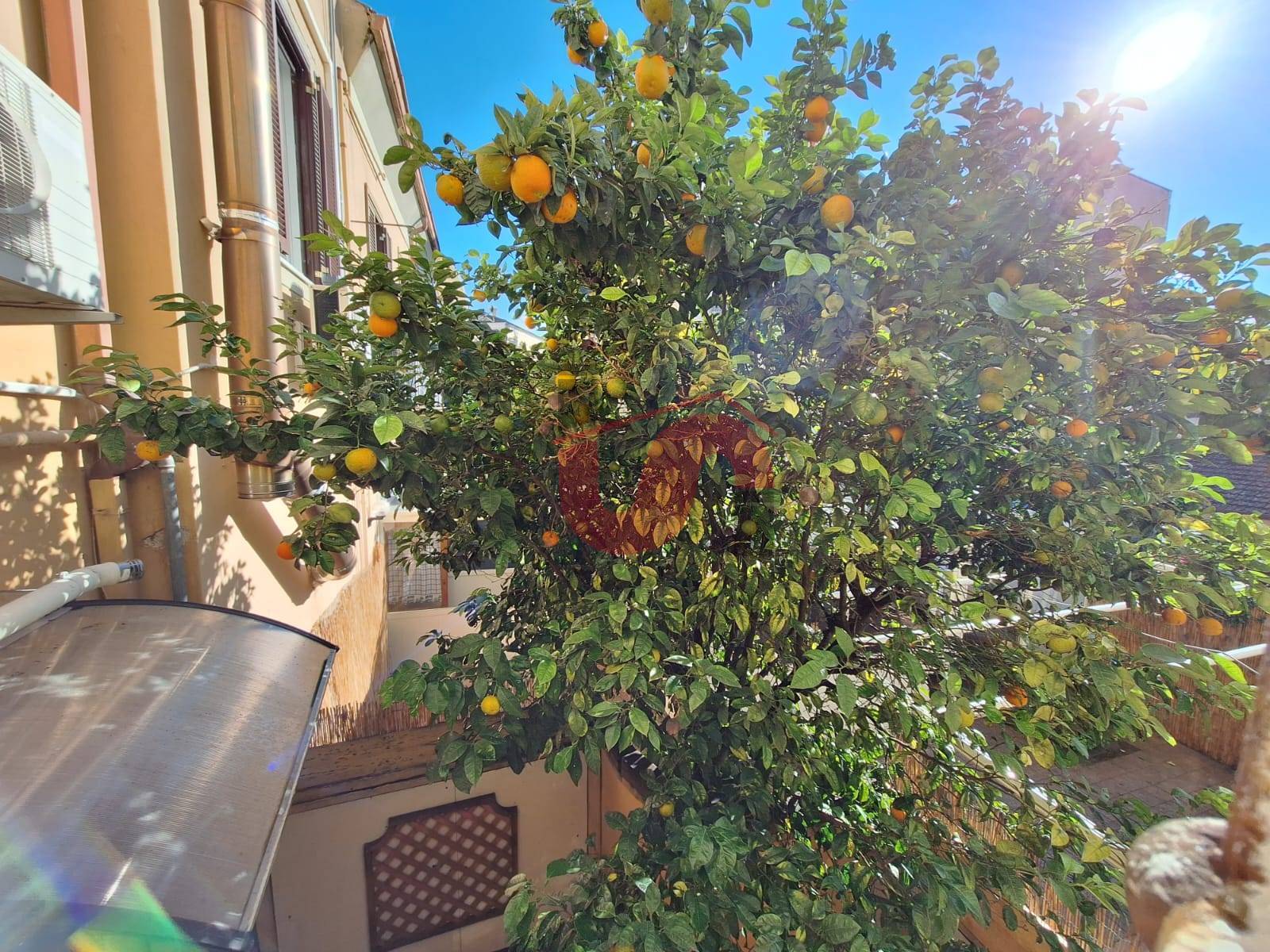 TRILOCALE in affitto a Benevento, CENTRO STORICO