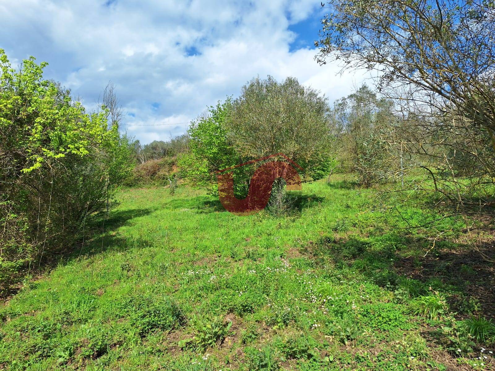 EDIFICABILE in vendita a Sant'Angelo a Cupolo