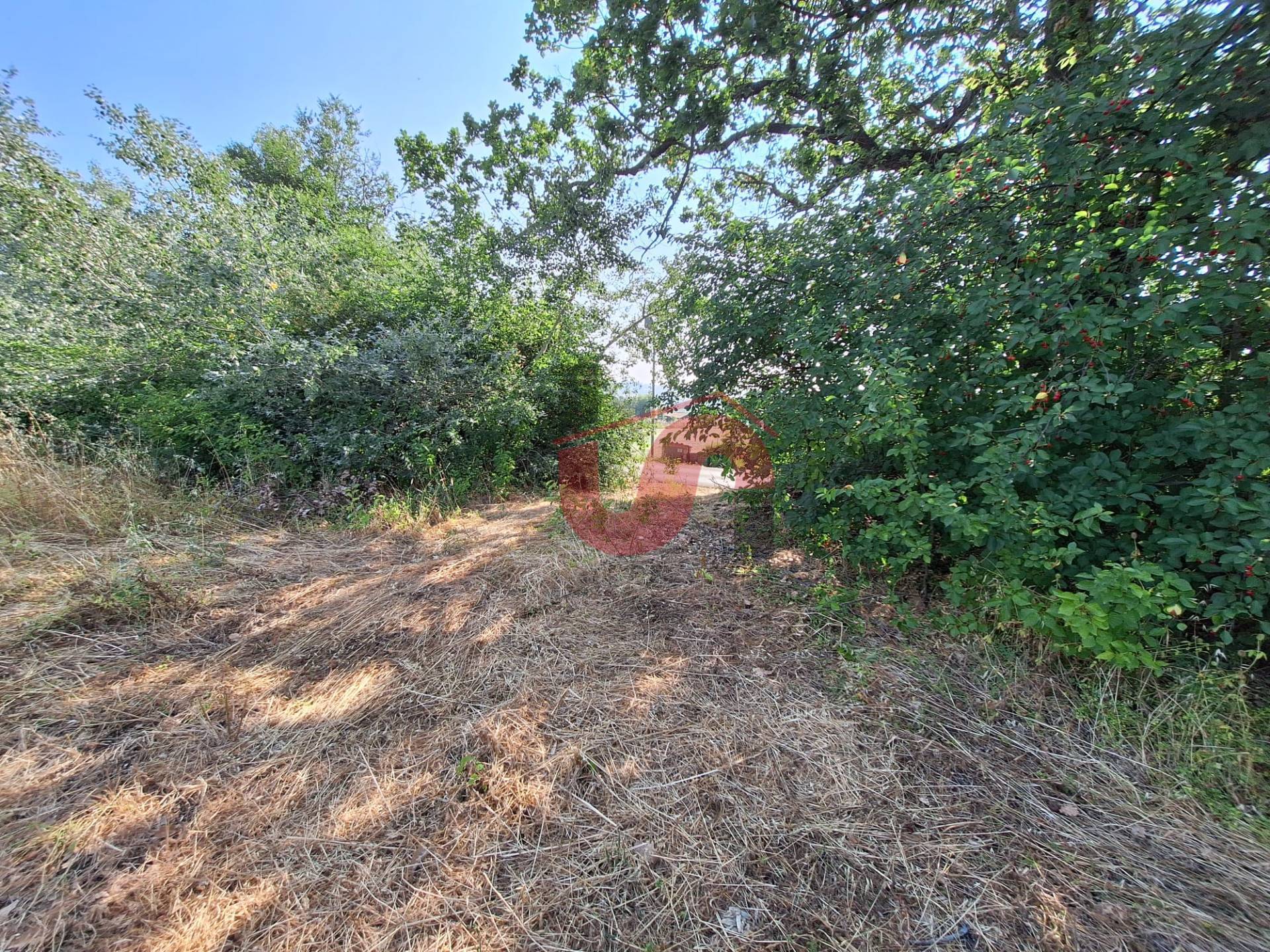 Terreno Agricolo in vendita a Benevento, CONTRADE