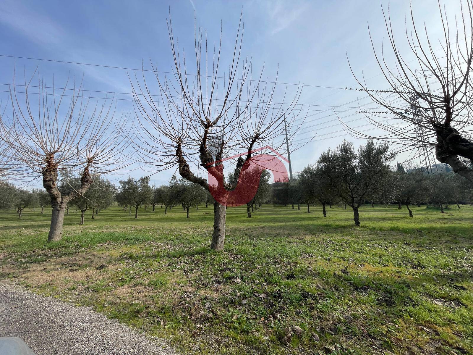 Terreno edificabile in vendita a Benevento