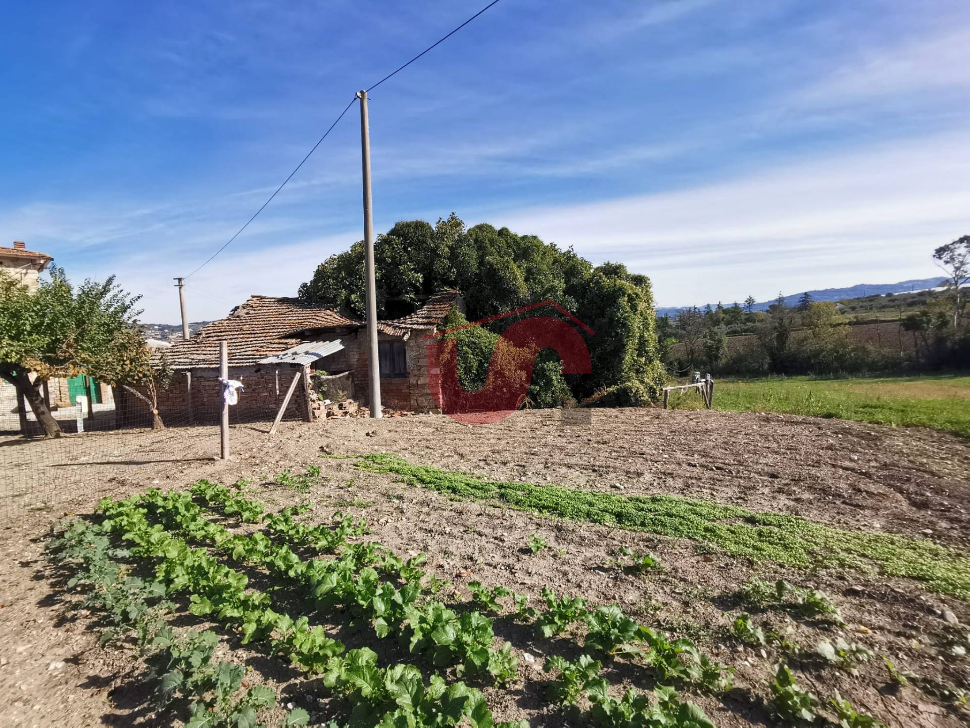 CASALE in vendita a San Nicola Manfredi