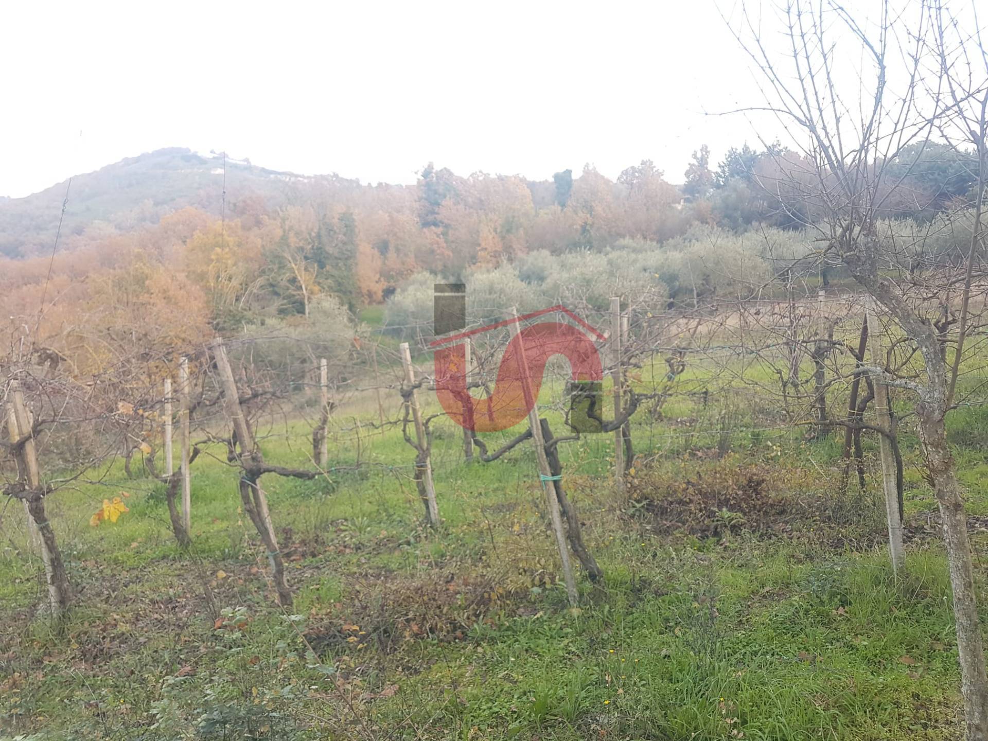 AGRICOLO in vendita a Benevento