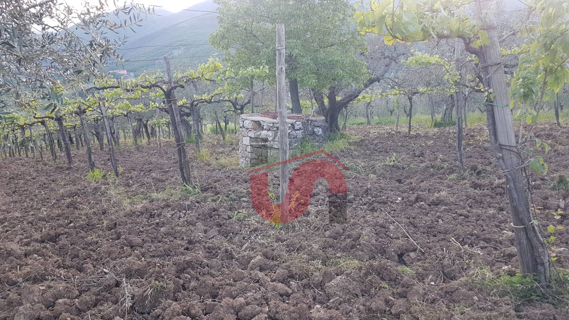 Terreno Agricolo in vendita a Foglianise
