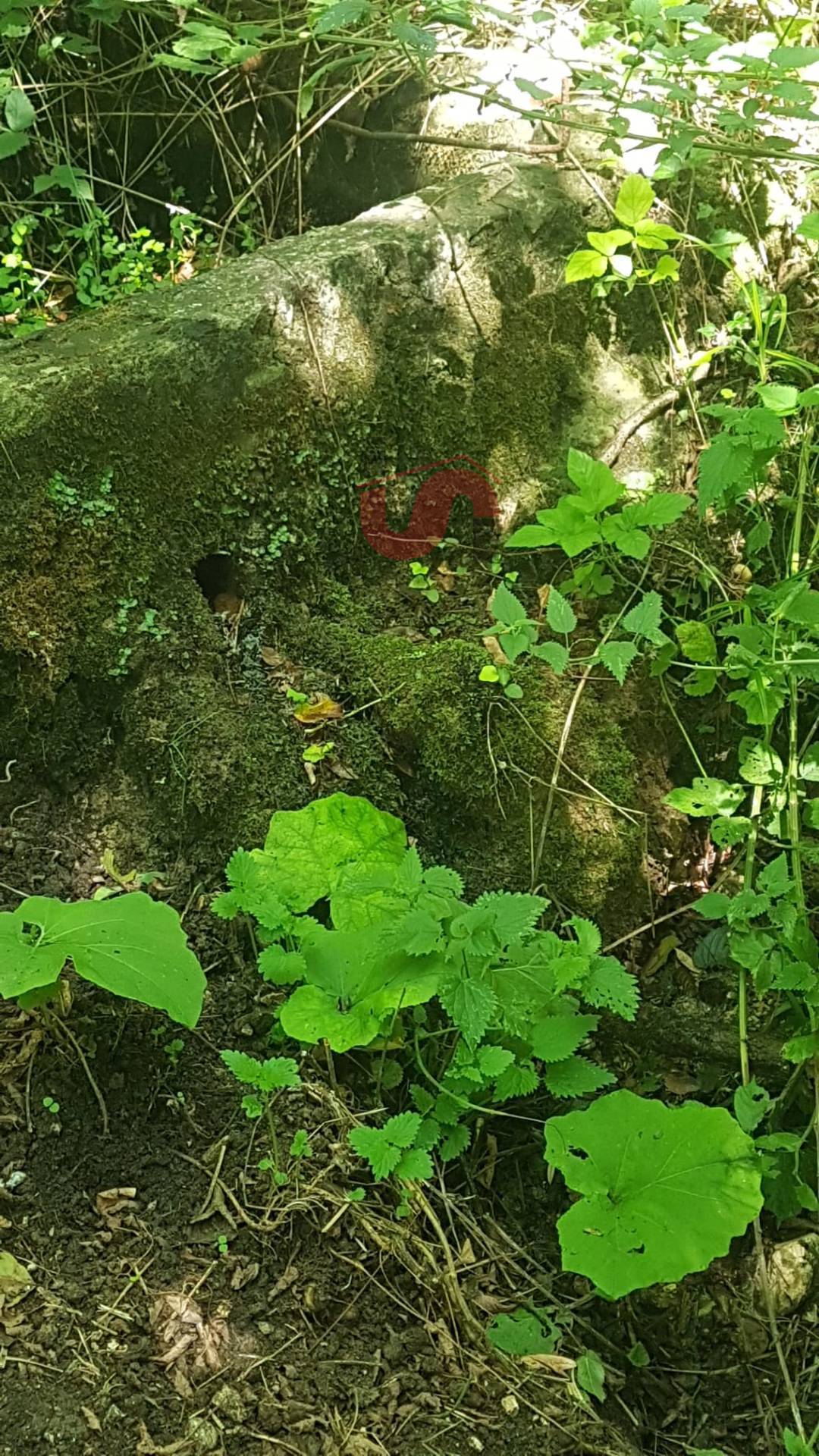 Villa in vendita a Cautano