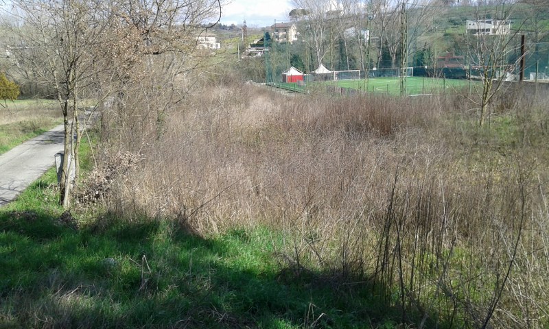 EDIFICABILE in vendita a Benevento, CONTRADE