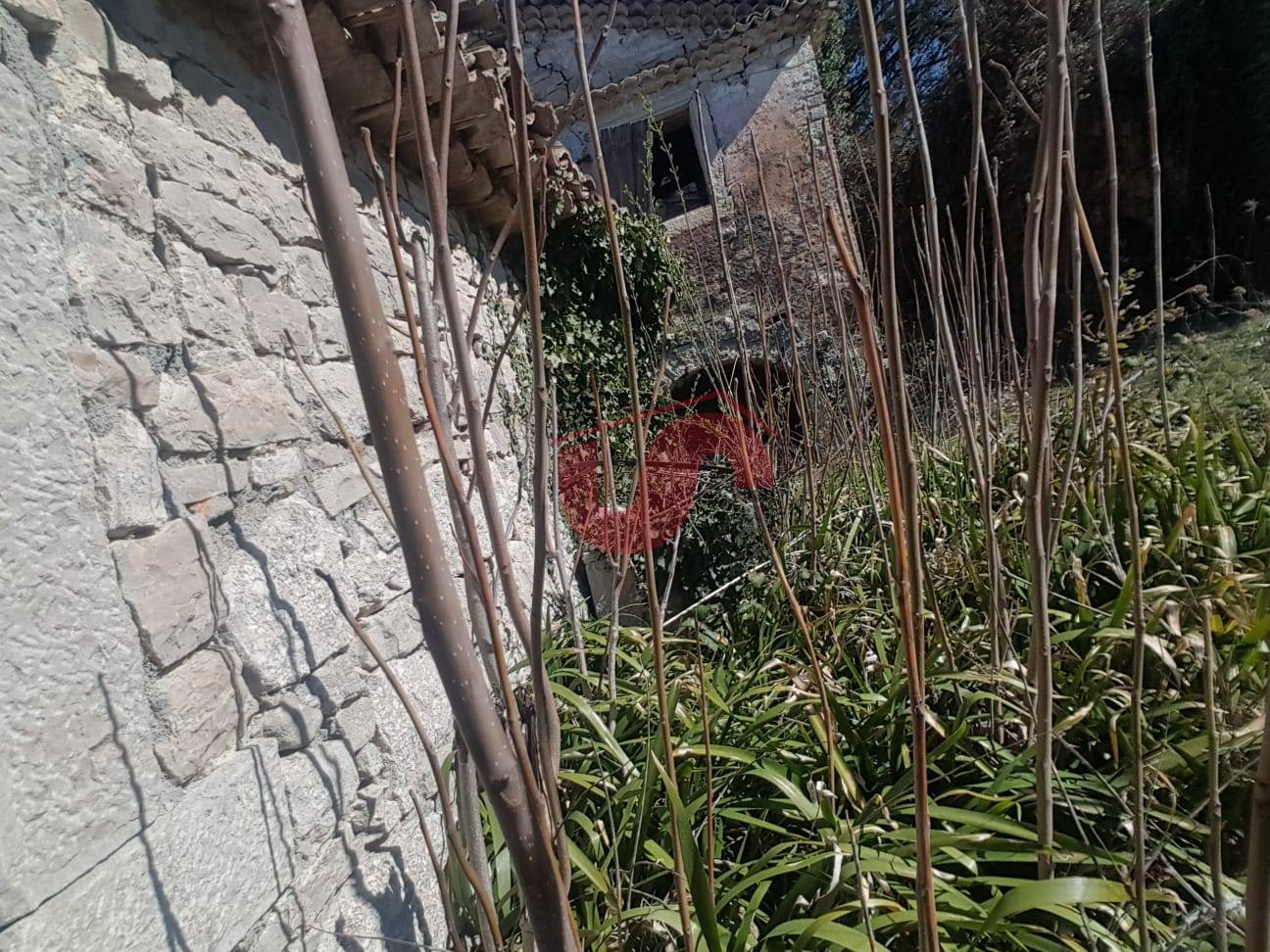 CASALE in vendita a Riccia