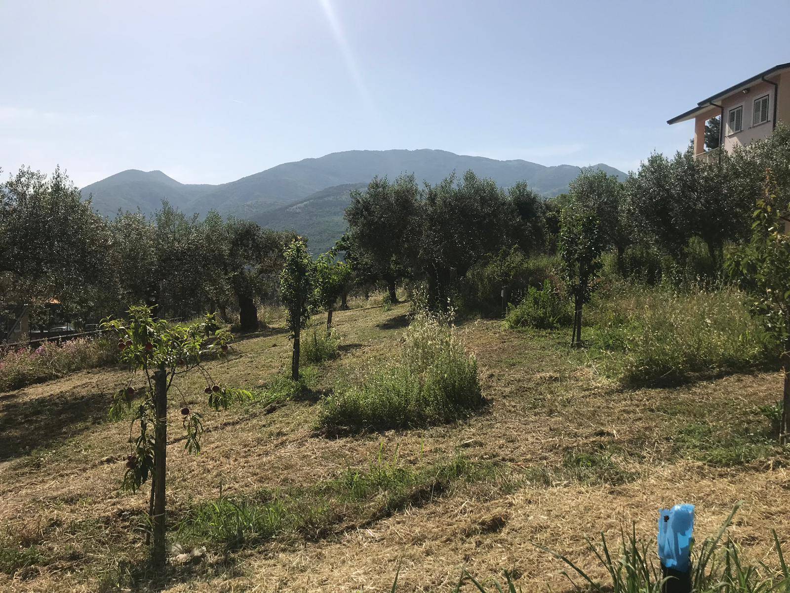 TERRENO INDUSTRIALE/COMMERCIALE in vendita a Foglianise, Sala
