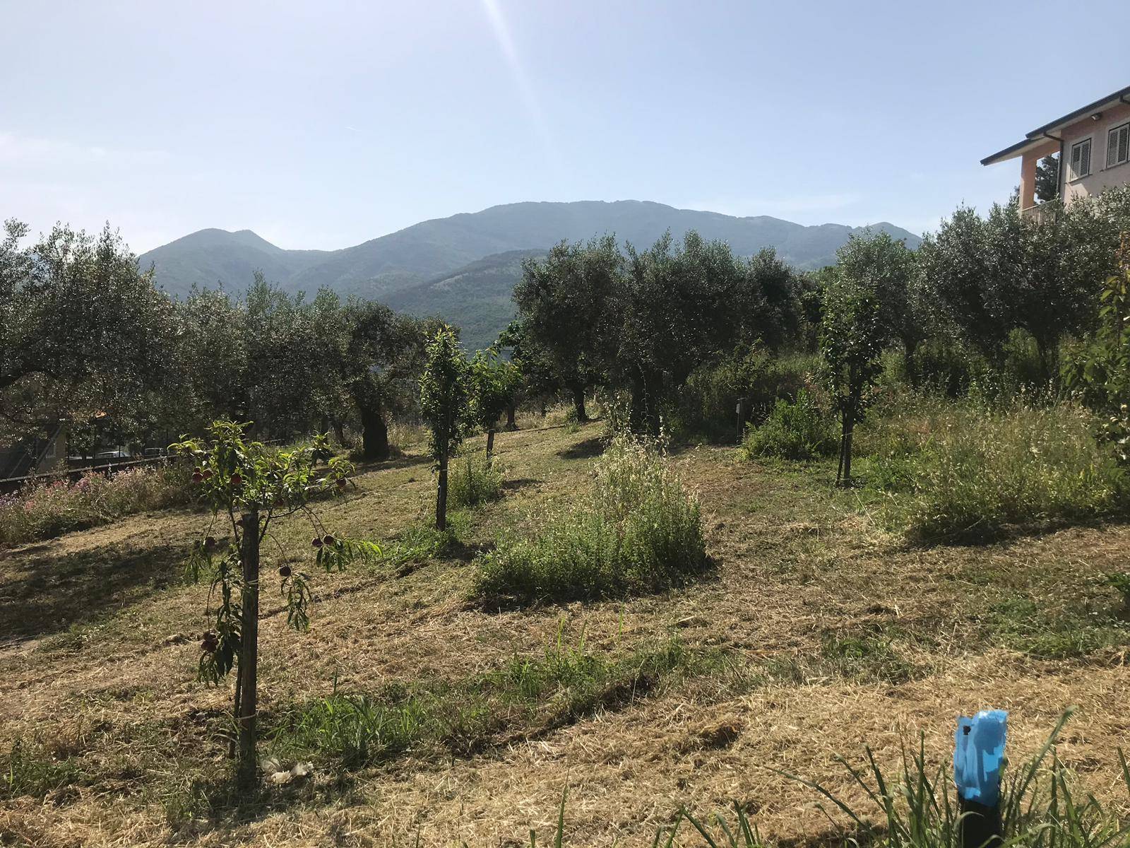 TERRENO INDUSTRIALE/COMMERCIALE in vendita a Foglianise, Sala