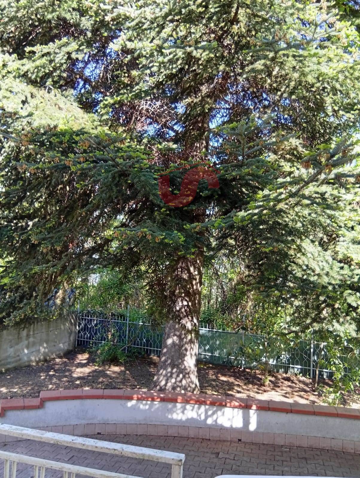 Casa singola in vendita a Petruro Irpino
