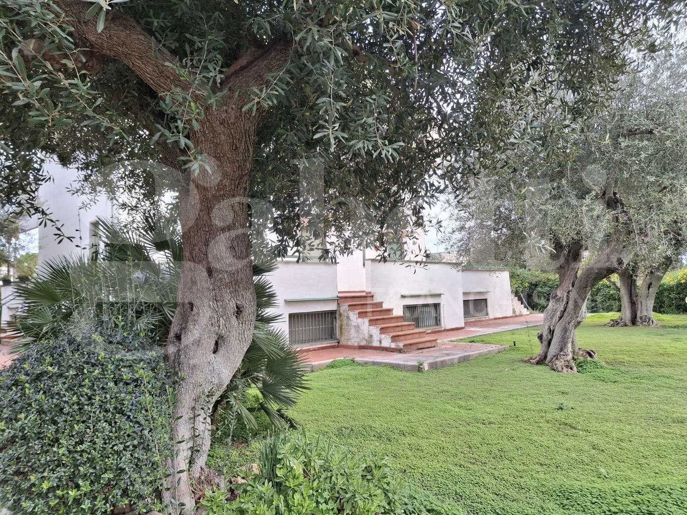 Villa in affitto a Bari