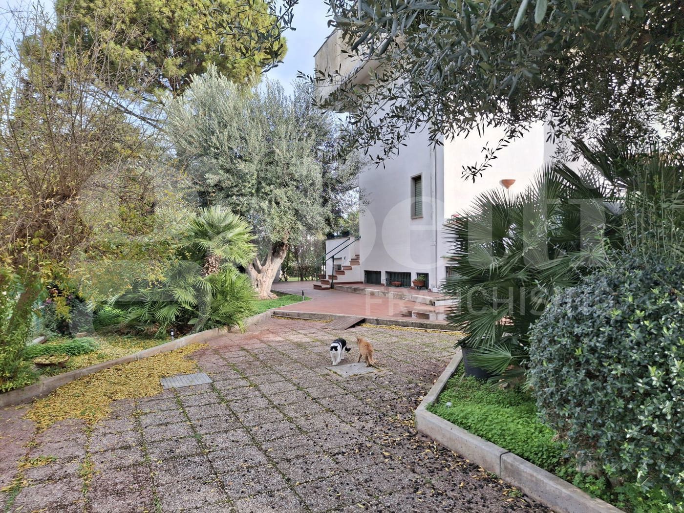 Villa in affitto a Bari