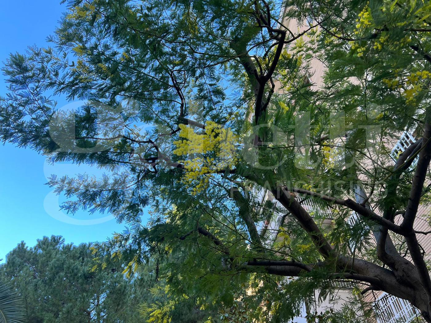 Quadrilocale in vendita a Bari