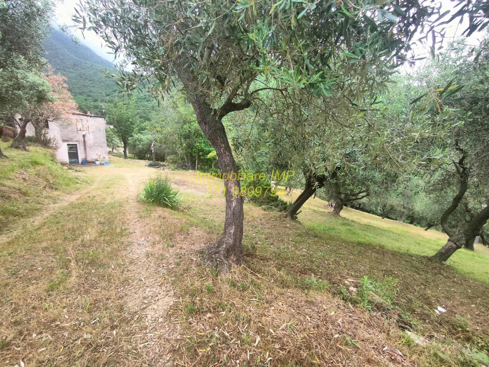 TC Turistico Ricettiva in vendita a Loano