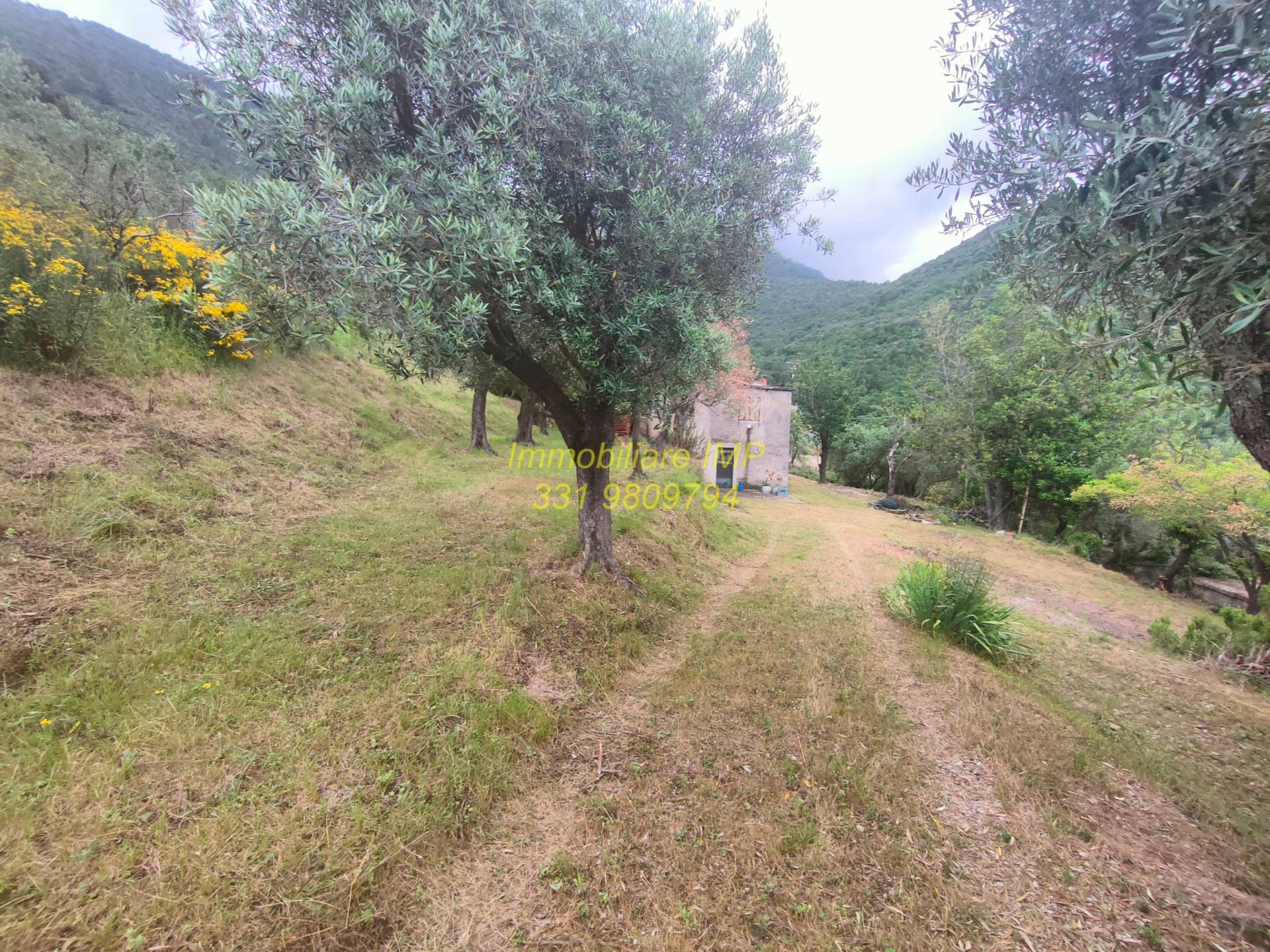 TC Turistico Ricettiva in vendita a Loano